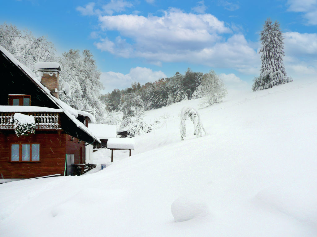 Bild 15