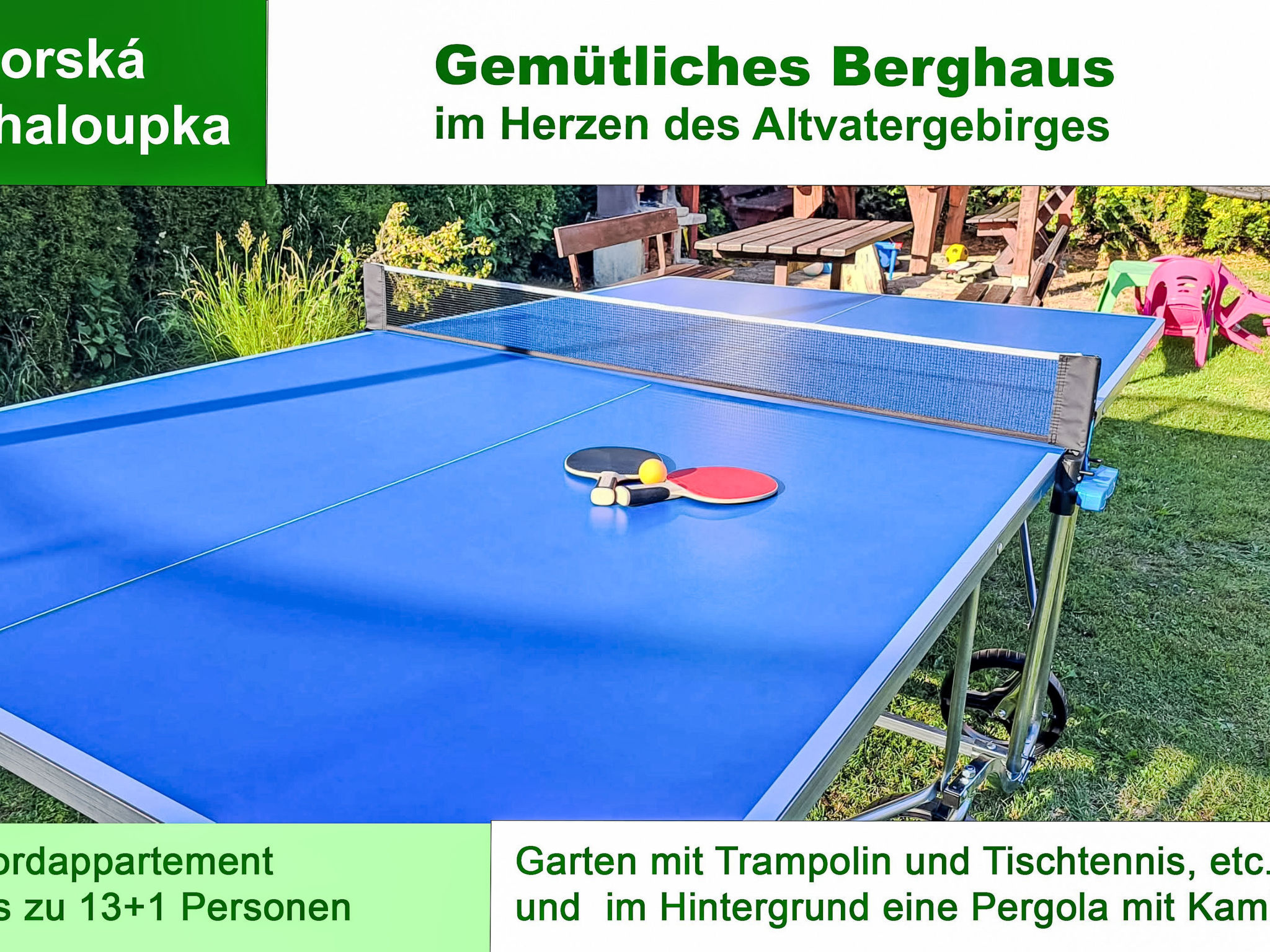 Gemütliches Berghaus - Binnen