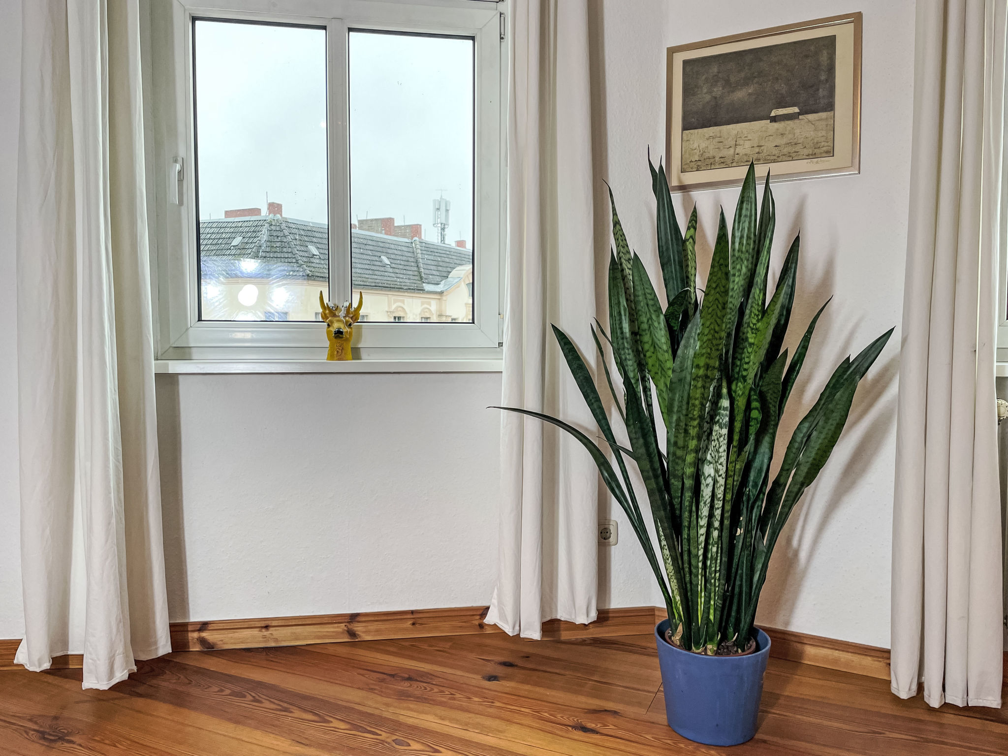 Holiday Rental Accommodation