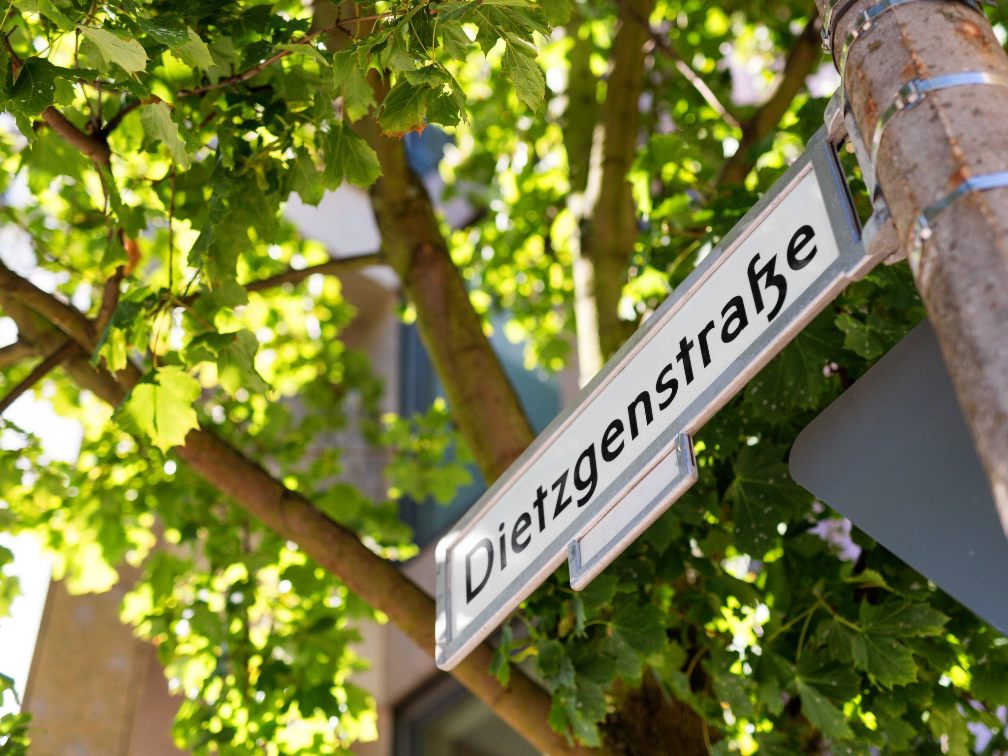 Wohnung in Niederschönhausen-Image-tags.info