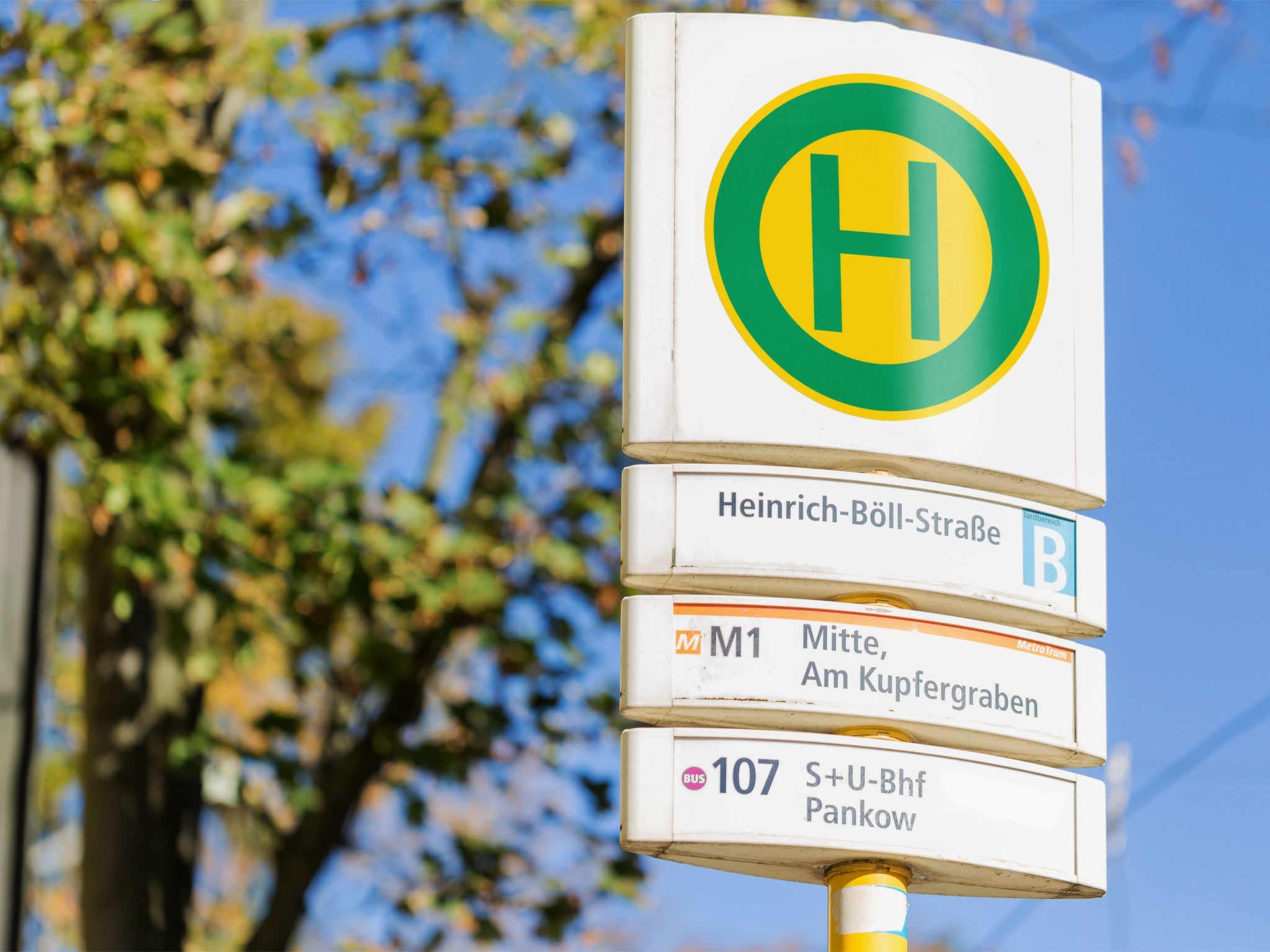 Wohnung in Niederschönhausen-Image-tags.info