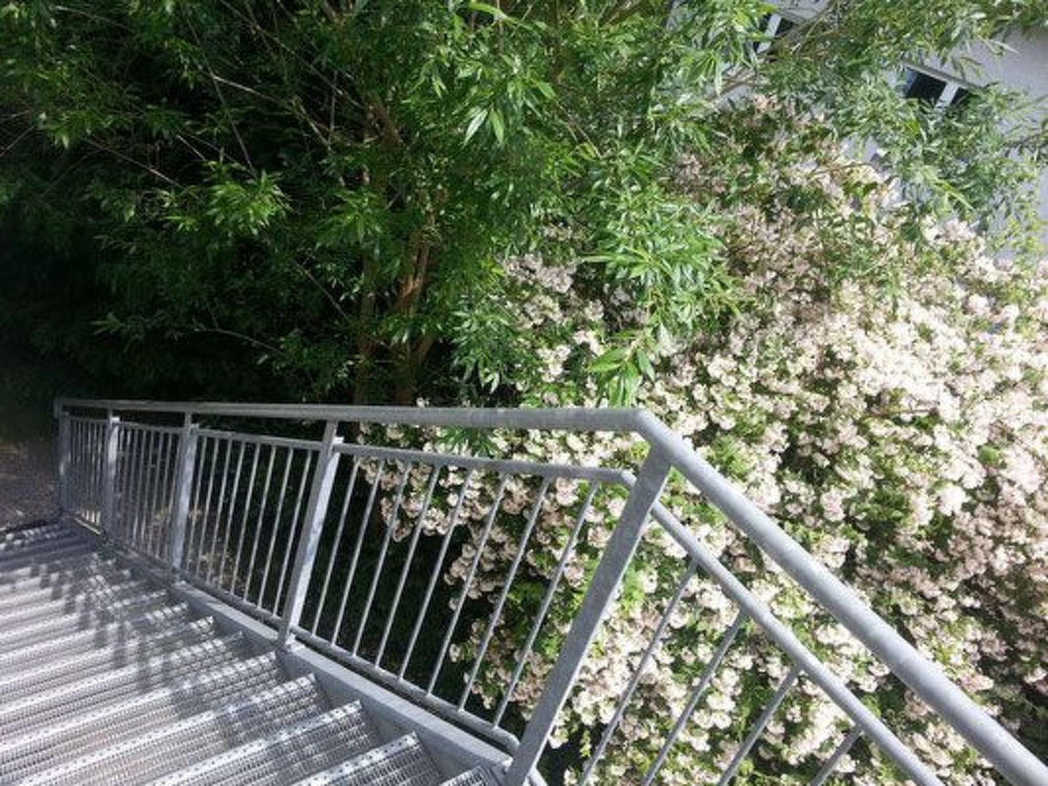 Moderne Studiowohnung im Obergeschoss mit Balkon-Drinnen