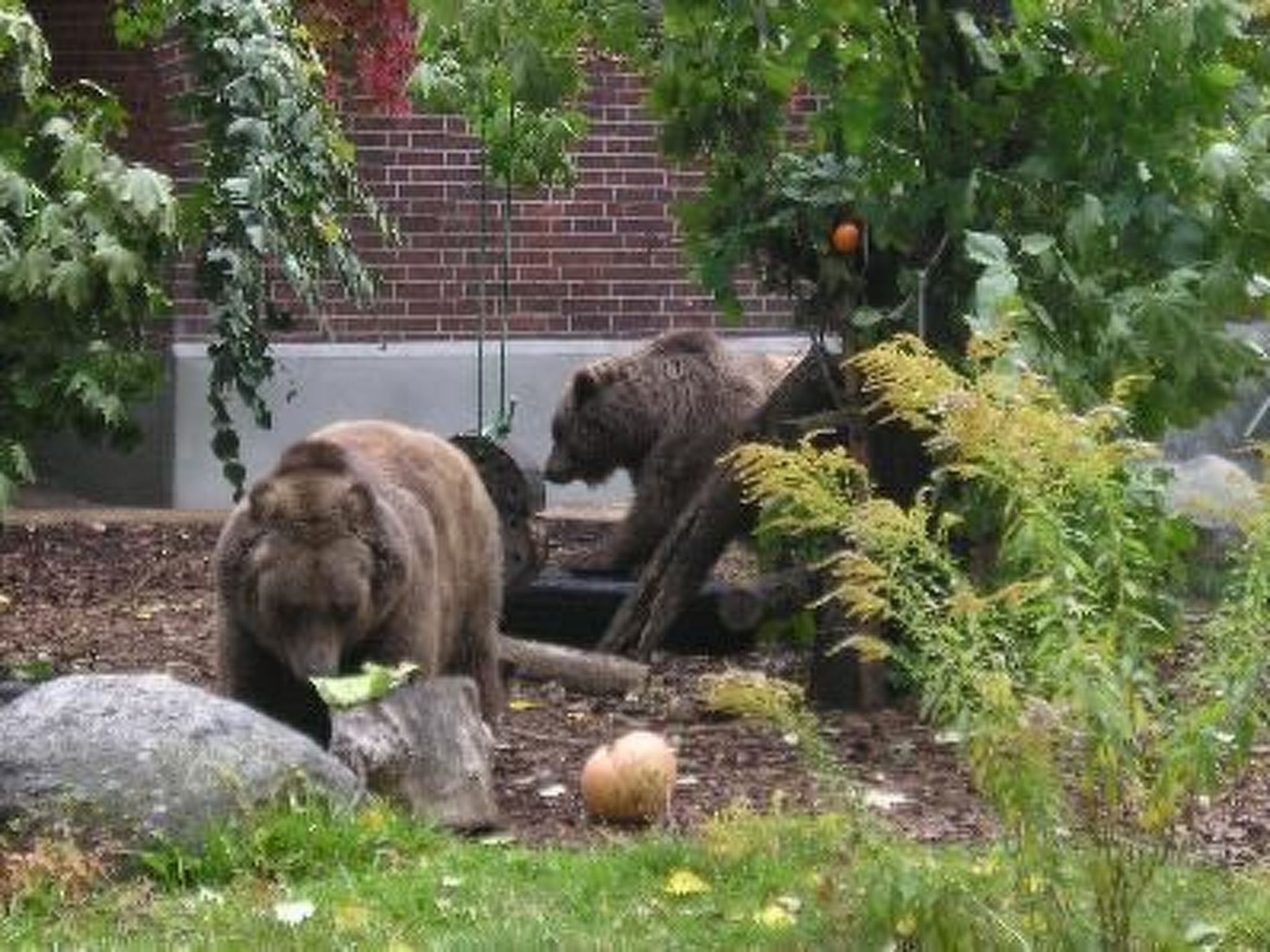 Moderne Erdgeschoss-Wohnung mit Terrasse-Drinnen