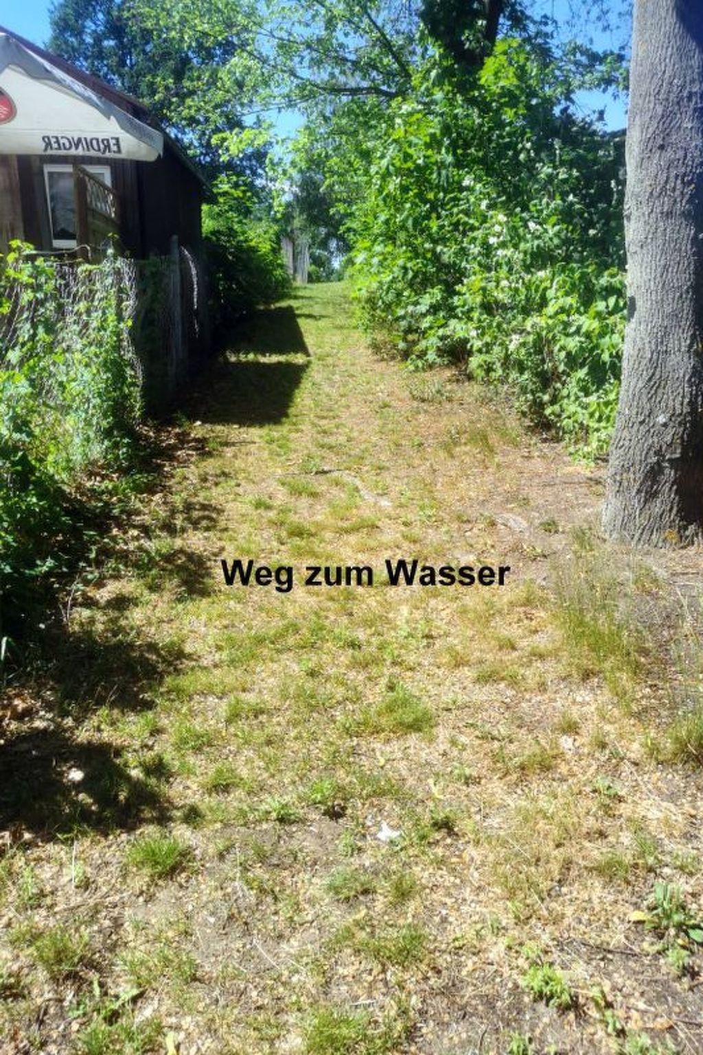 In Müggelheim mit eigener Terrasse-Drinnen