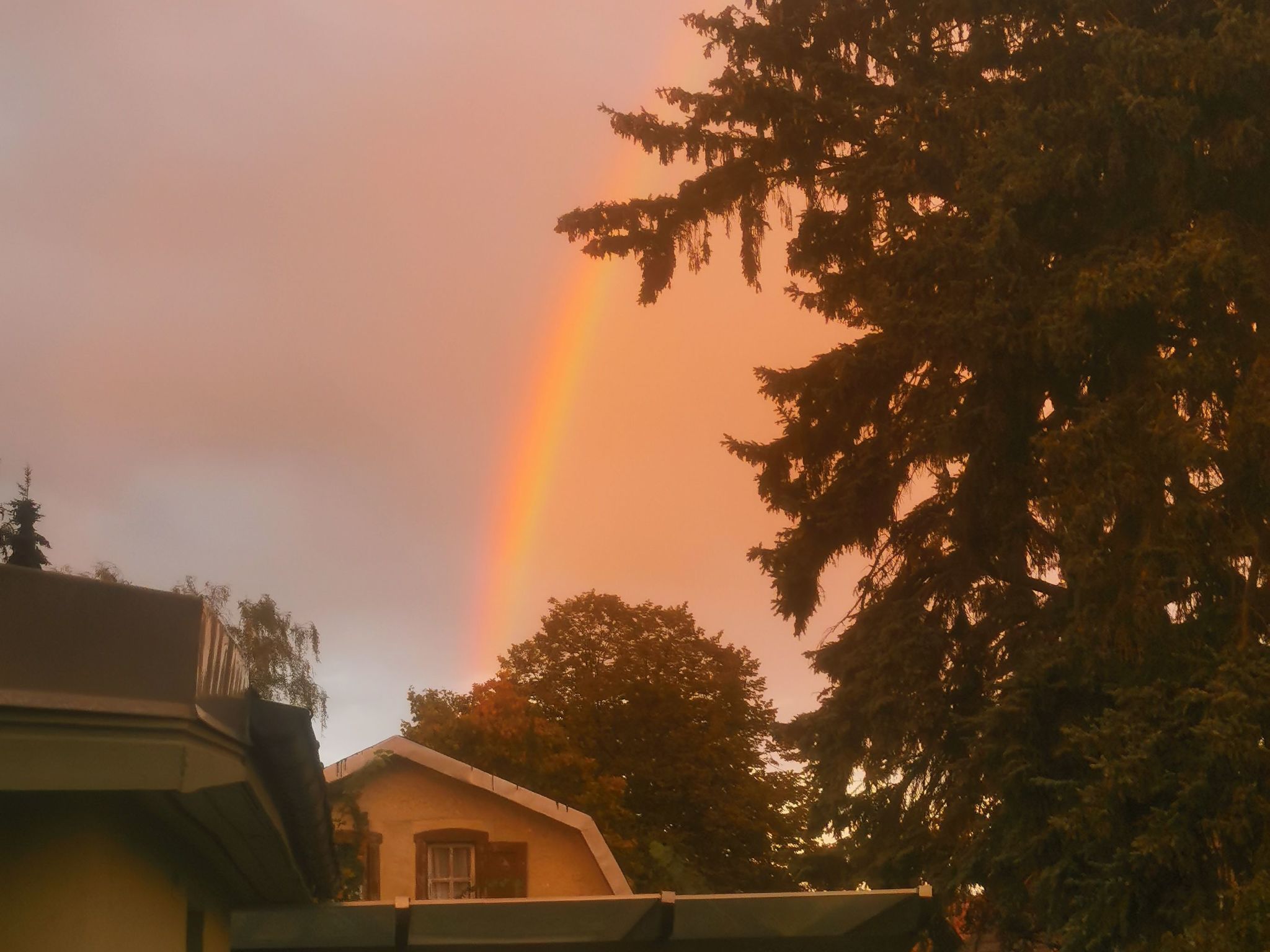 In Müggelheim mit eigener Terrasse-Drinnen