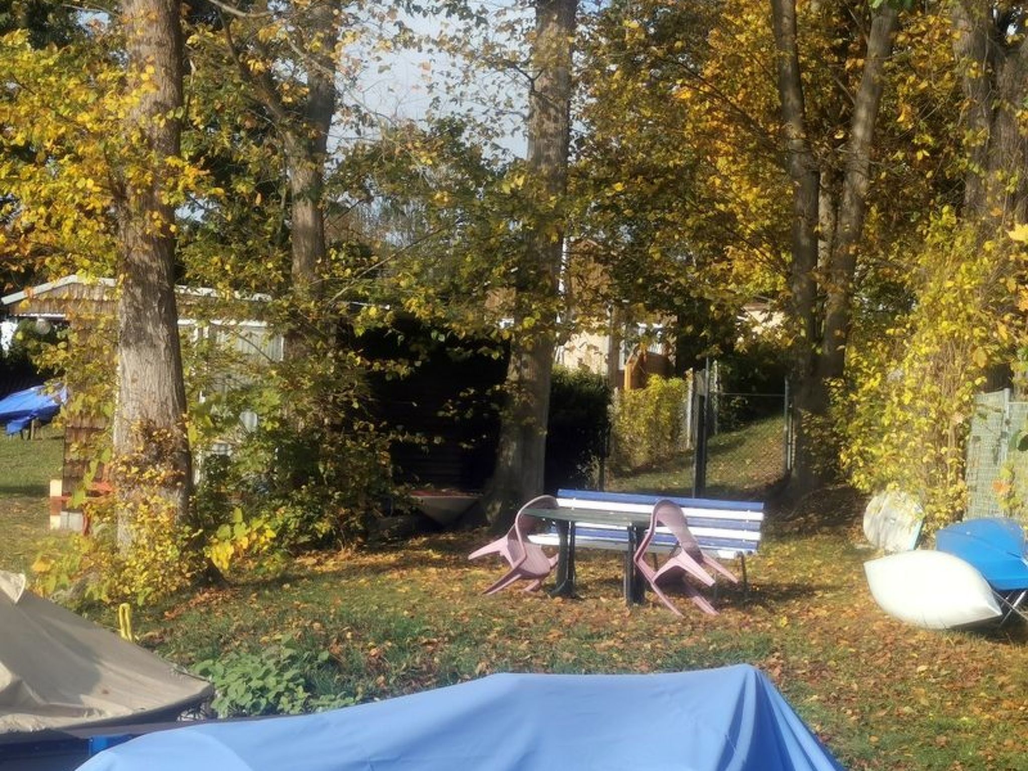 Vrijstaande bungalow aan de Müggelsee met eigen terras in Berlijn-Müggelheim - foto 34