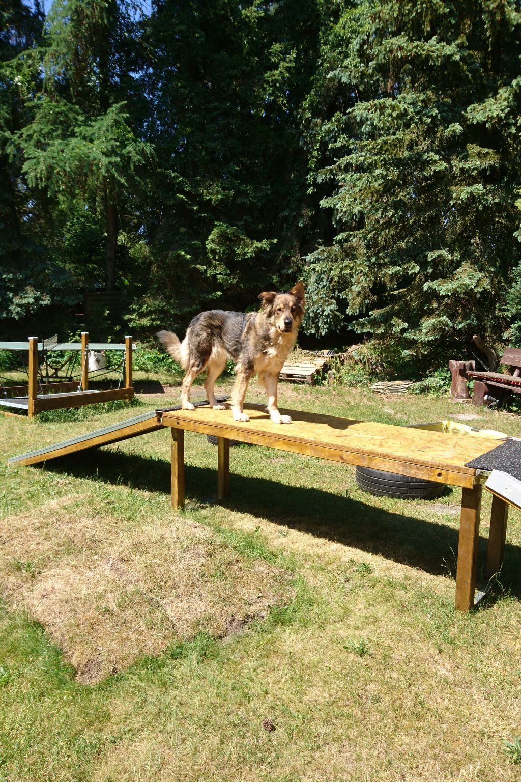 Finnhaus-Image-tags.info