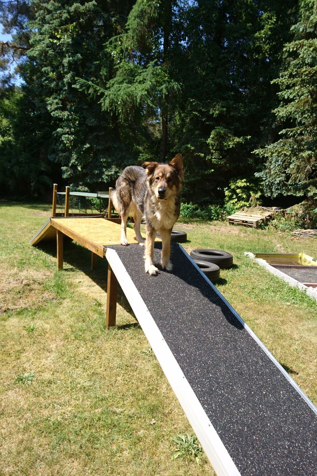 Finnhaus-Image-tags.info