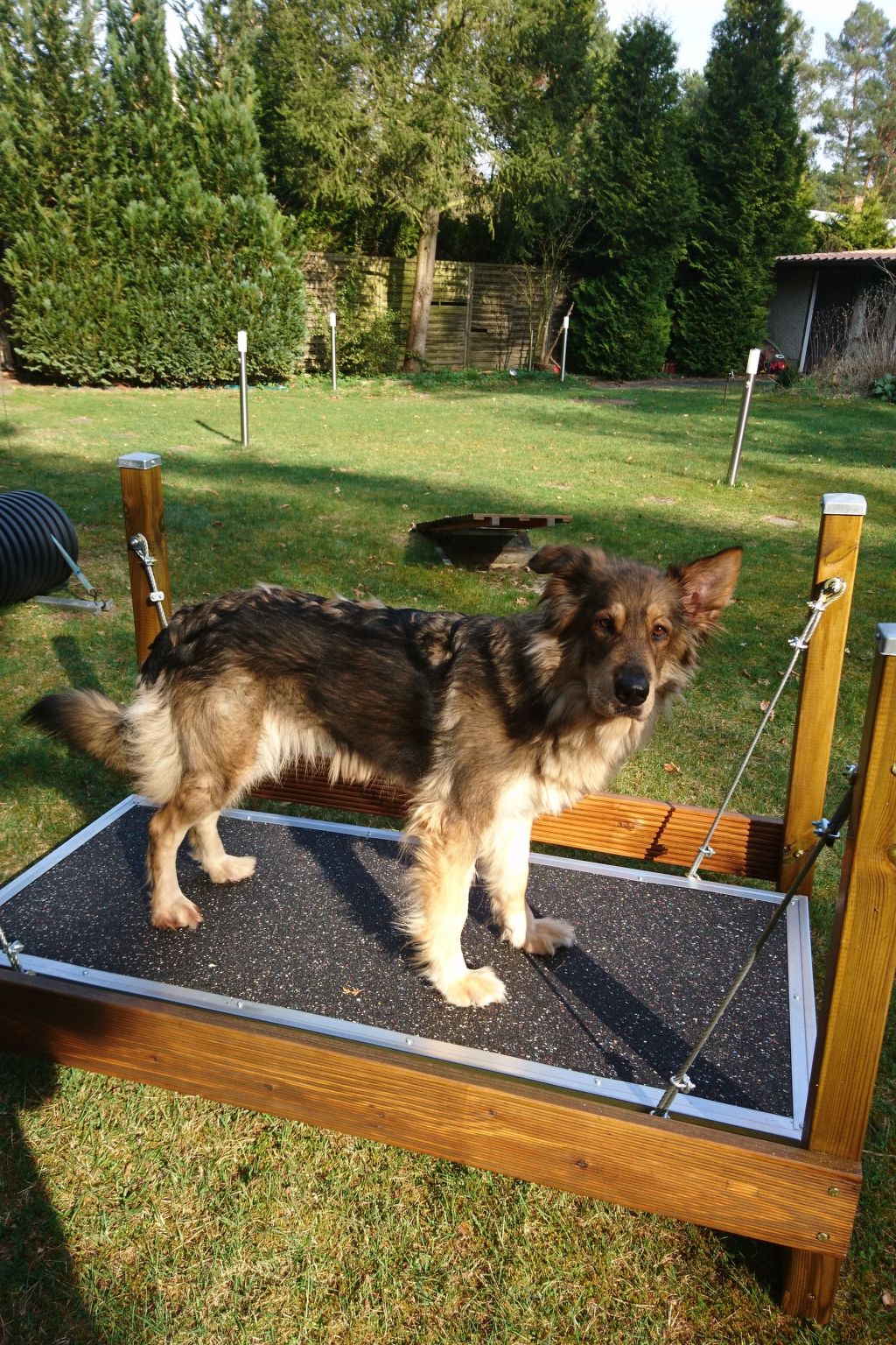 Finnhaus-Image-tags.info