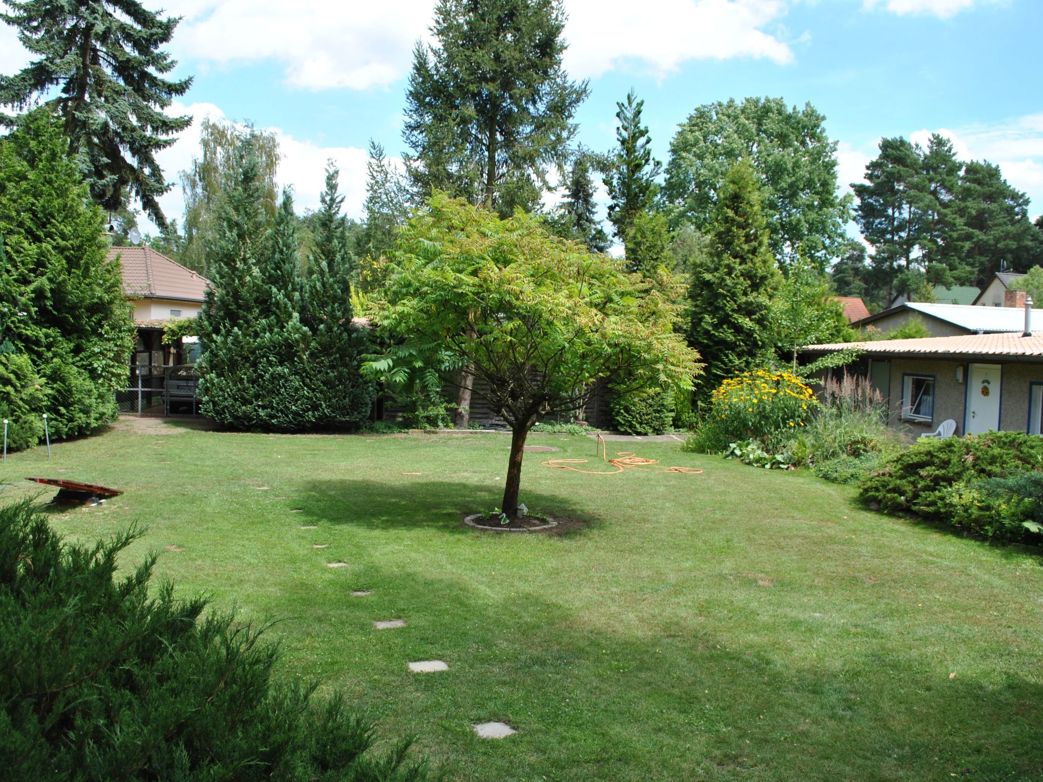 Finnhaus-Image-tags.info