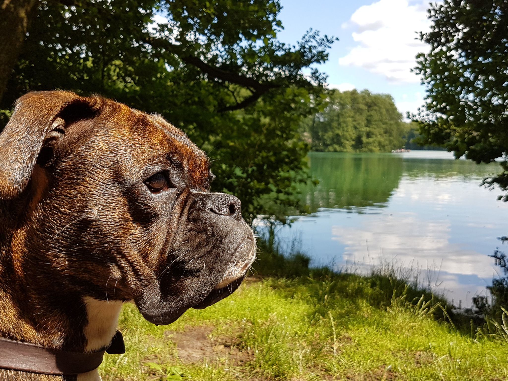 Finnhaus-Image-tags.info