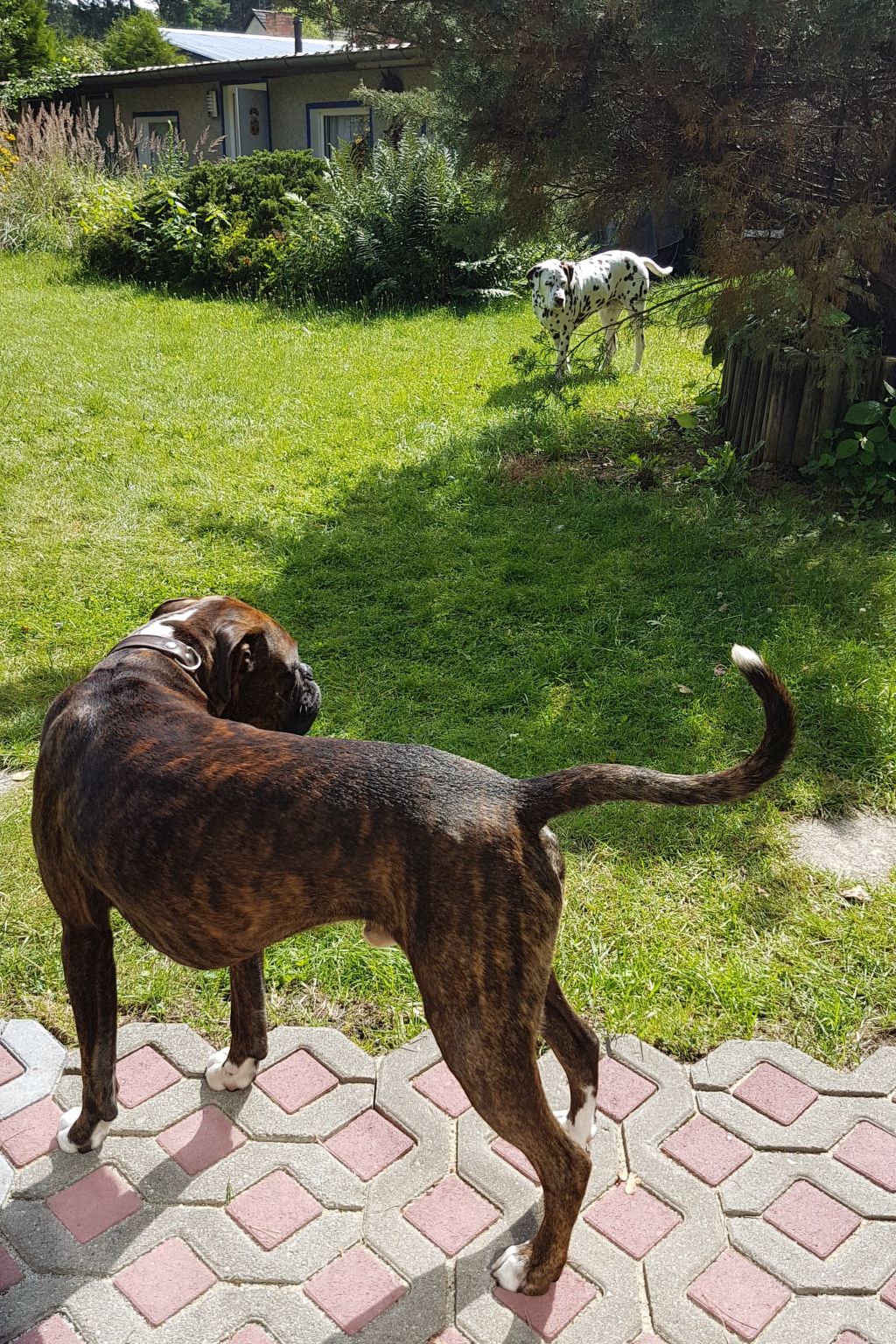 Finnhaus-Image-tags.info