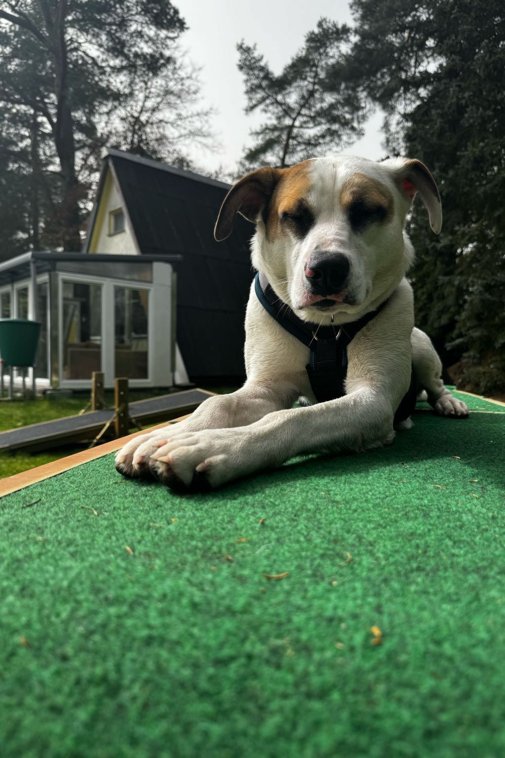 Finnhaus-Image-tags.info