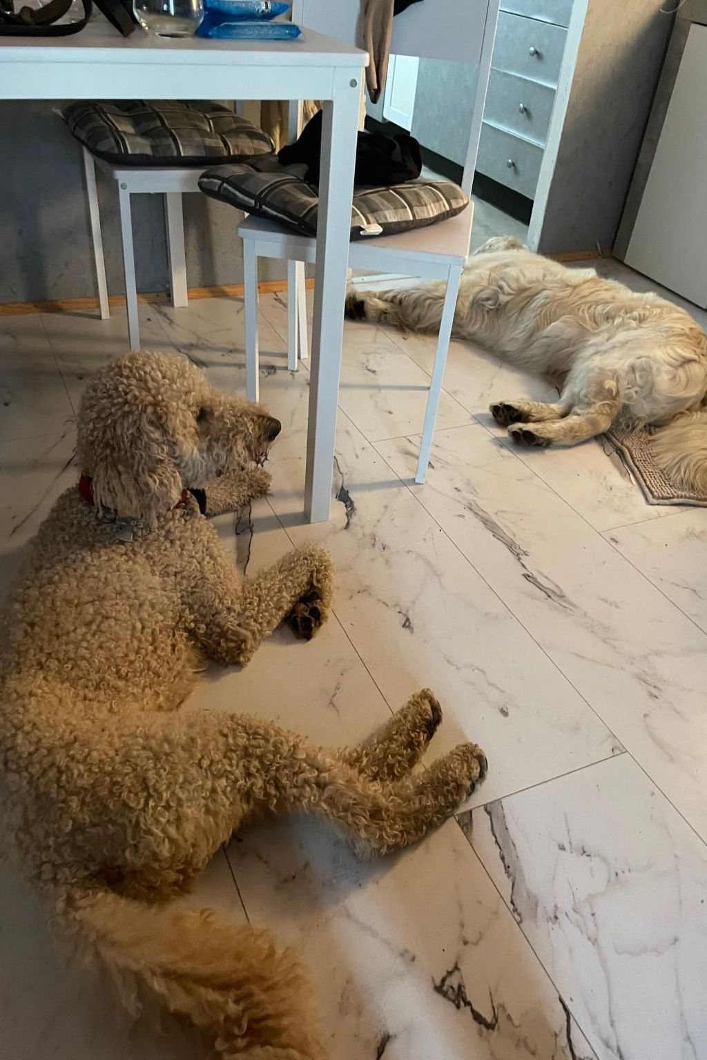 Finnhaus-Image-tags.info