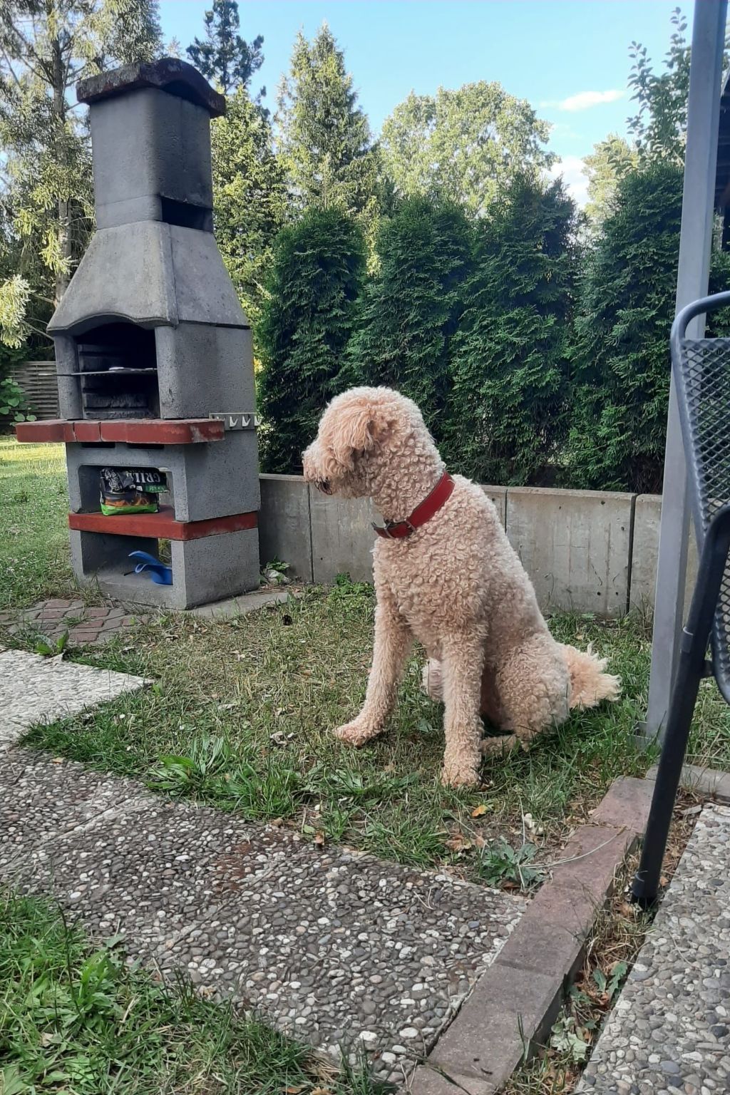 Finnhaus-Image-tags.info