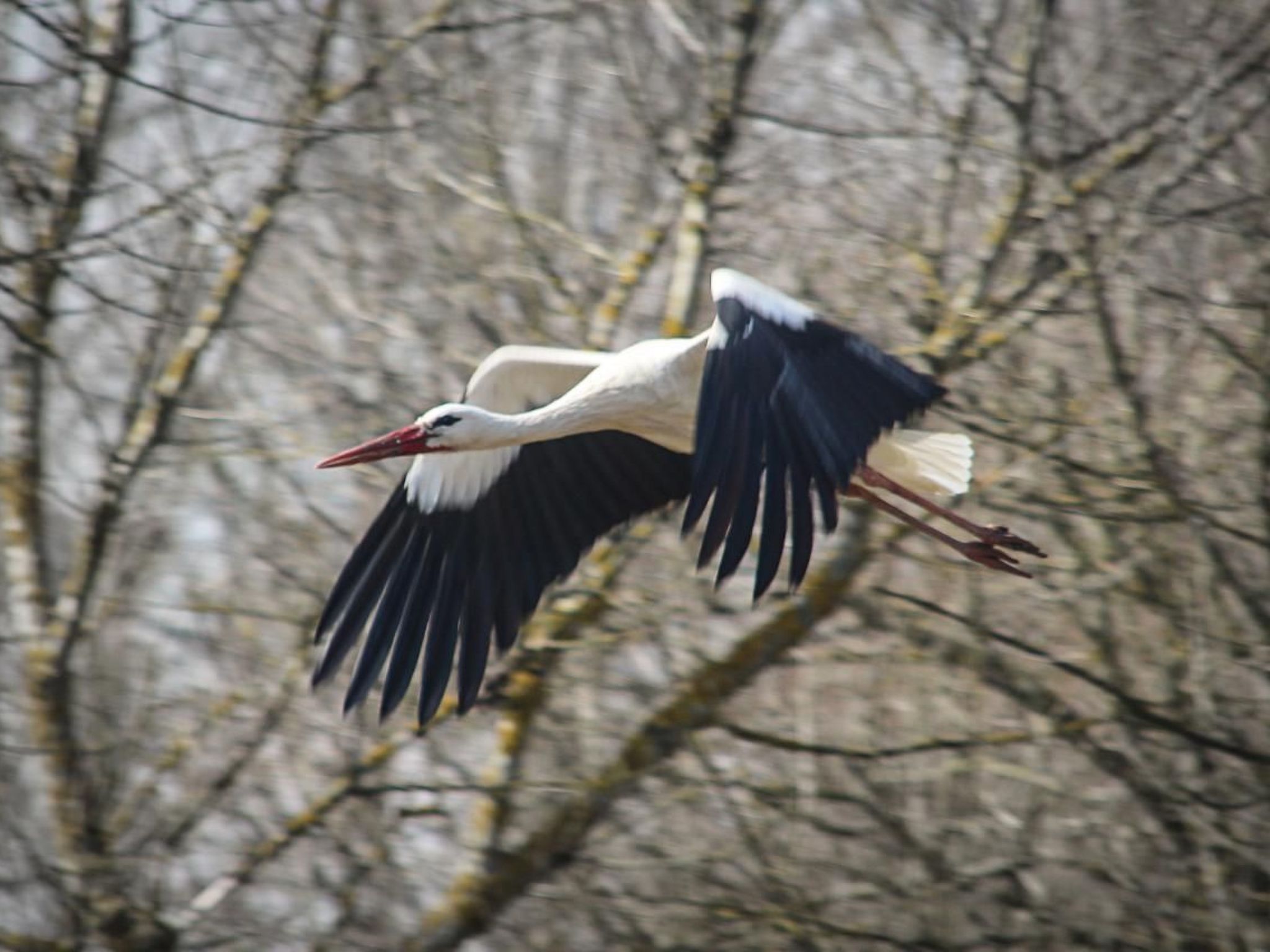 Oderhäuschen-Image-tags.info