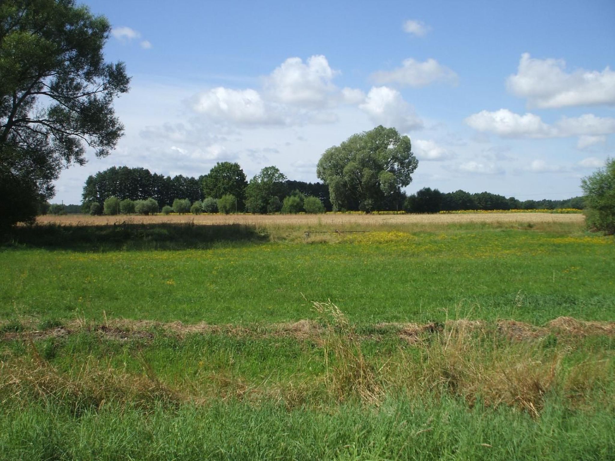 Oderhäuschen-Image-tags.info