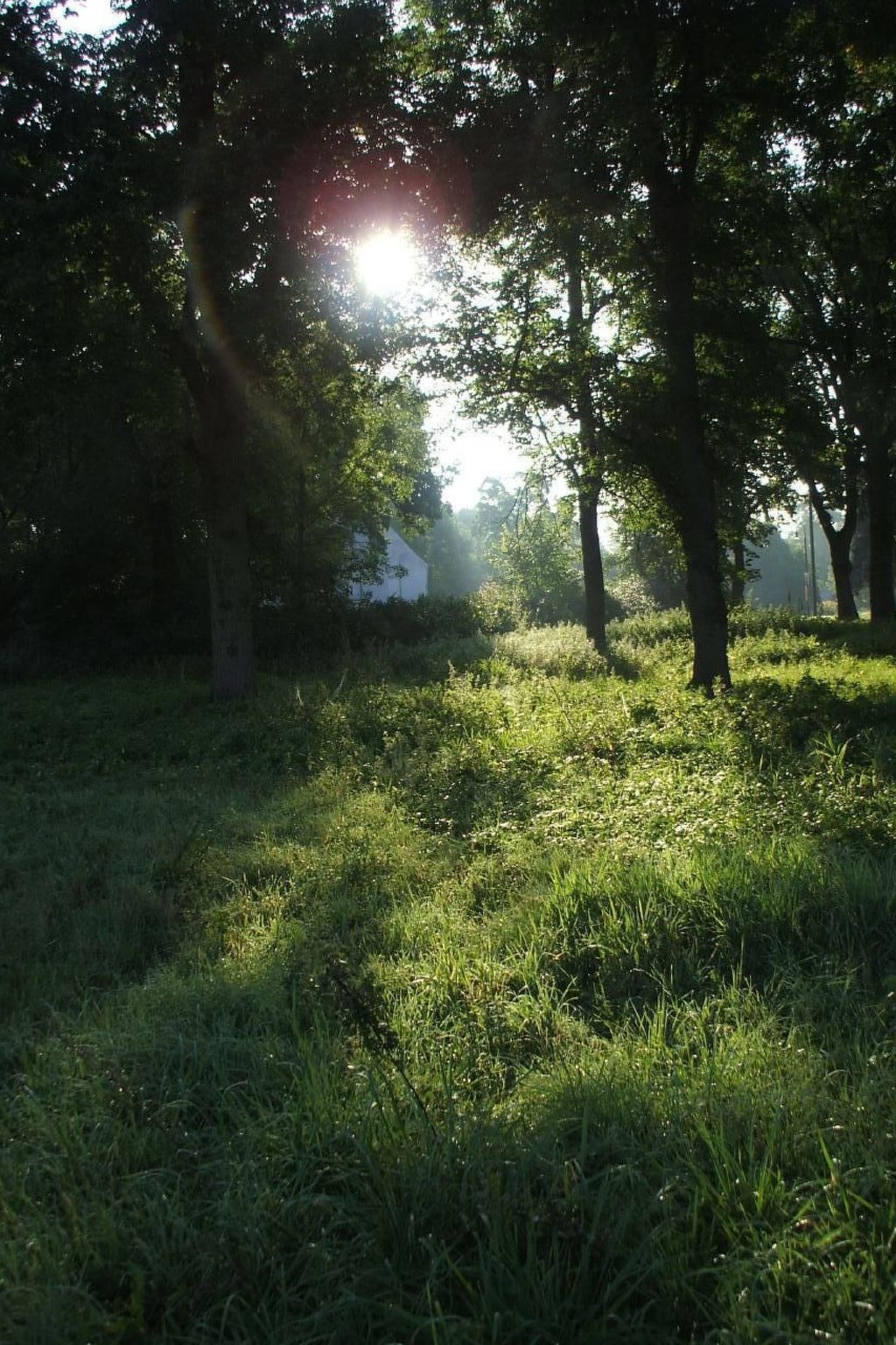 Oderhäuschen-Image-tags.info