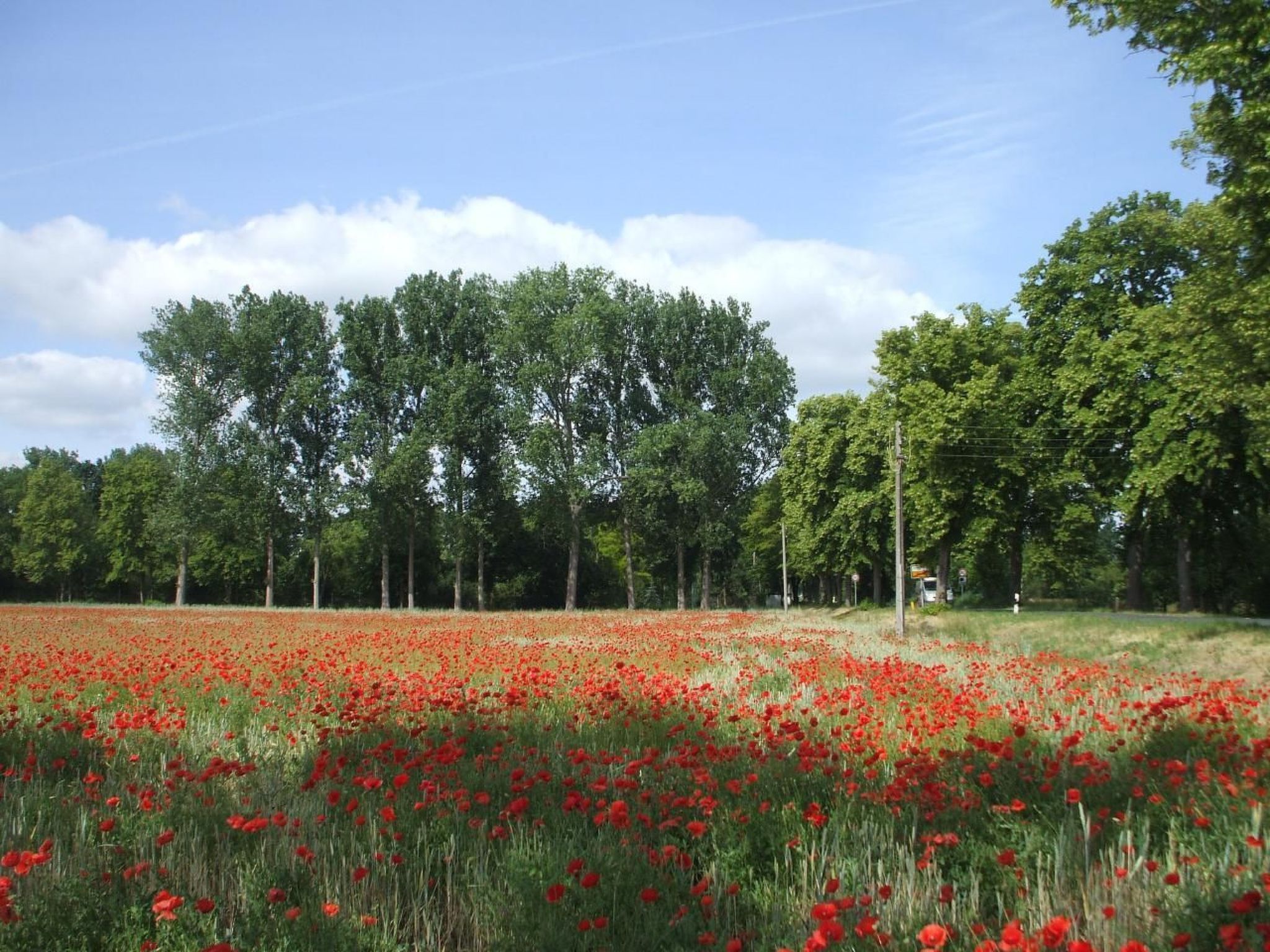 Oderhäuschen-Image-tags.info