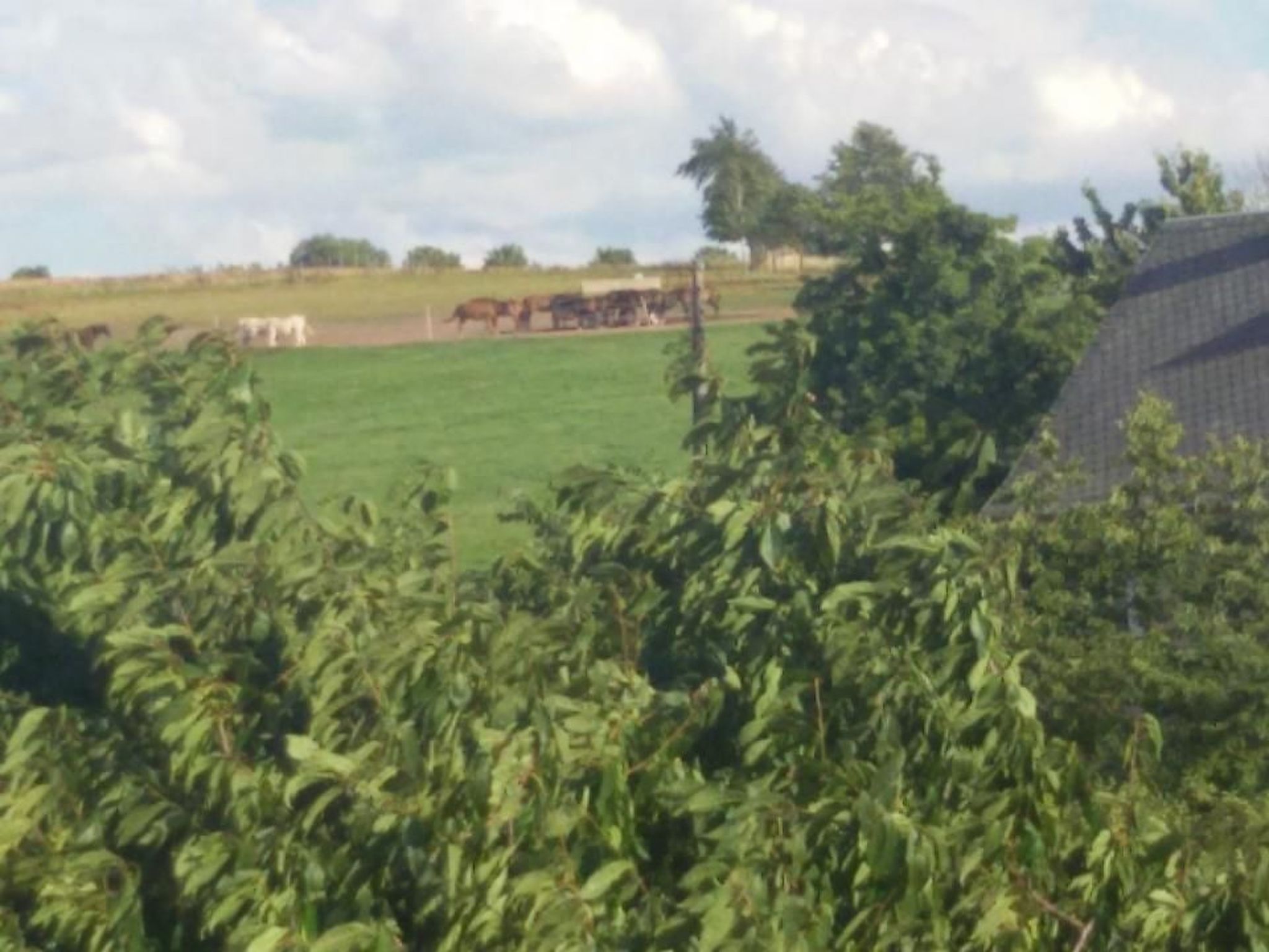 Ferienwohznung Huhle-Drinnen