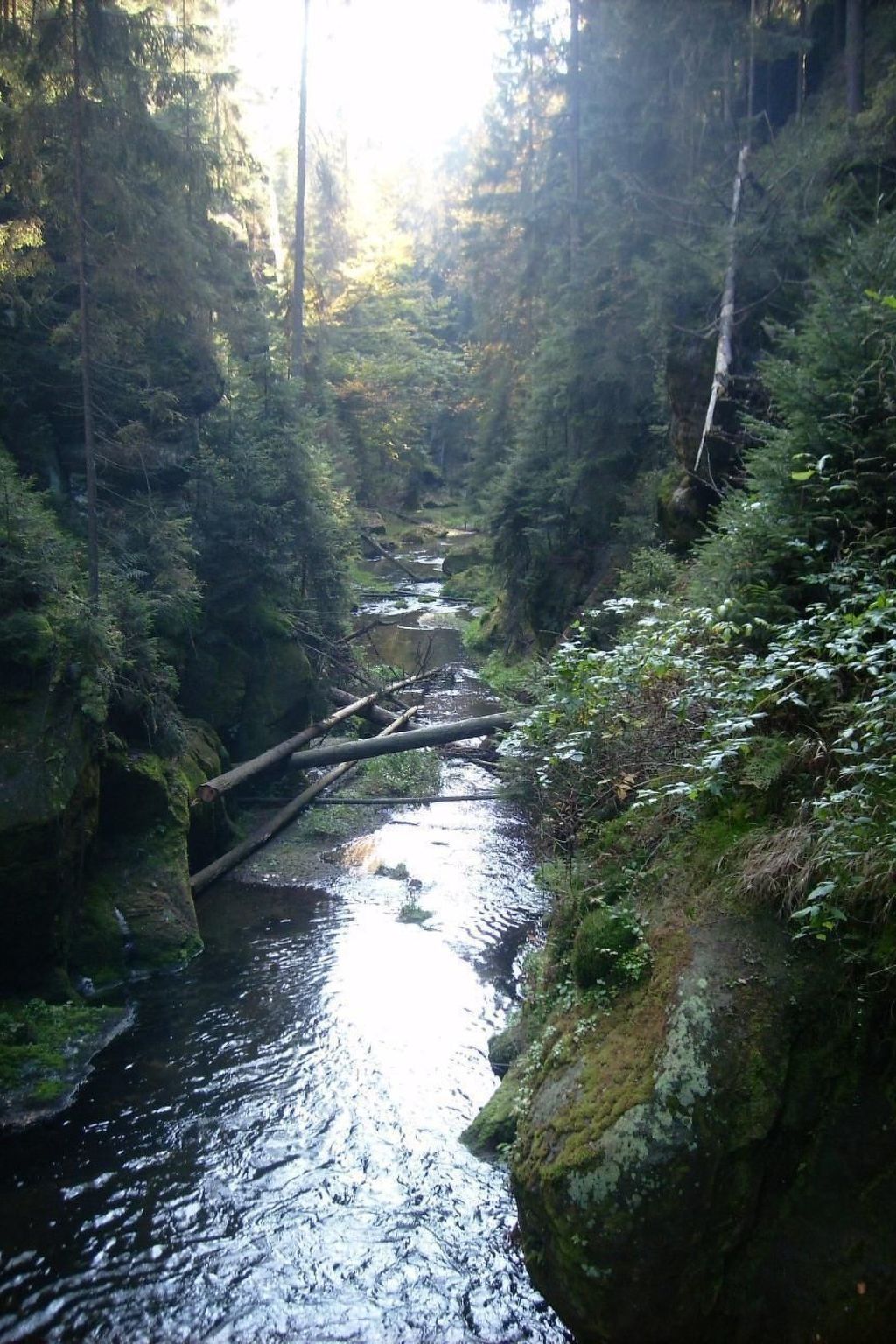 Ferienwohznung Huhle