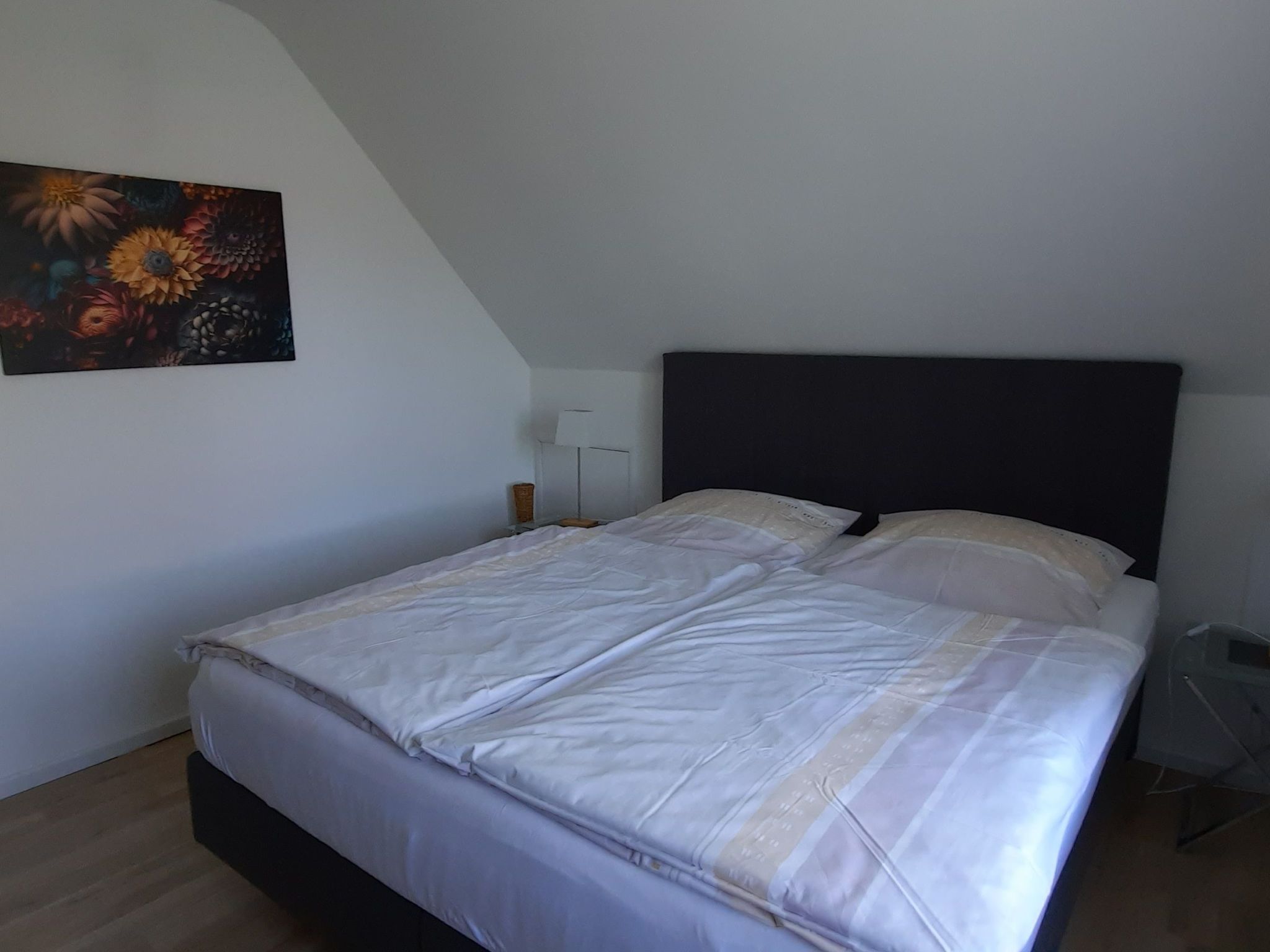 Gill-Image-tags.info