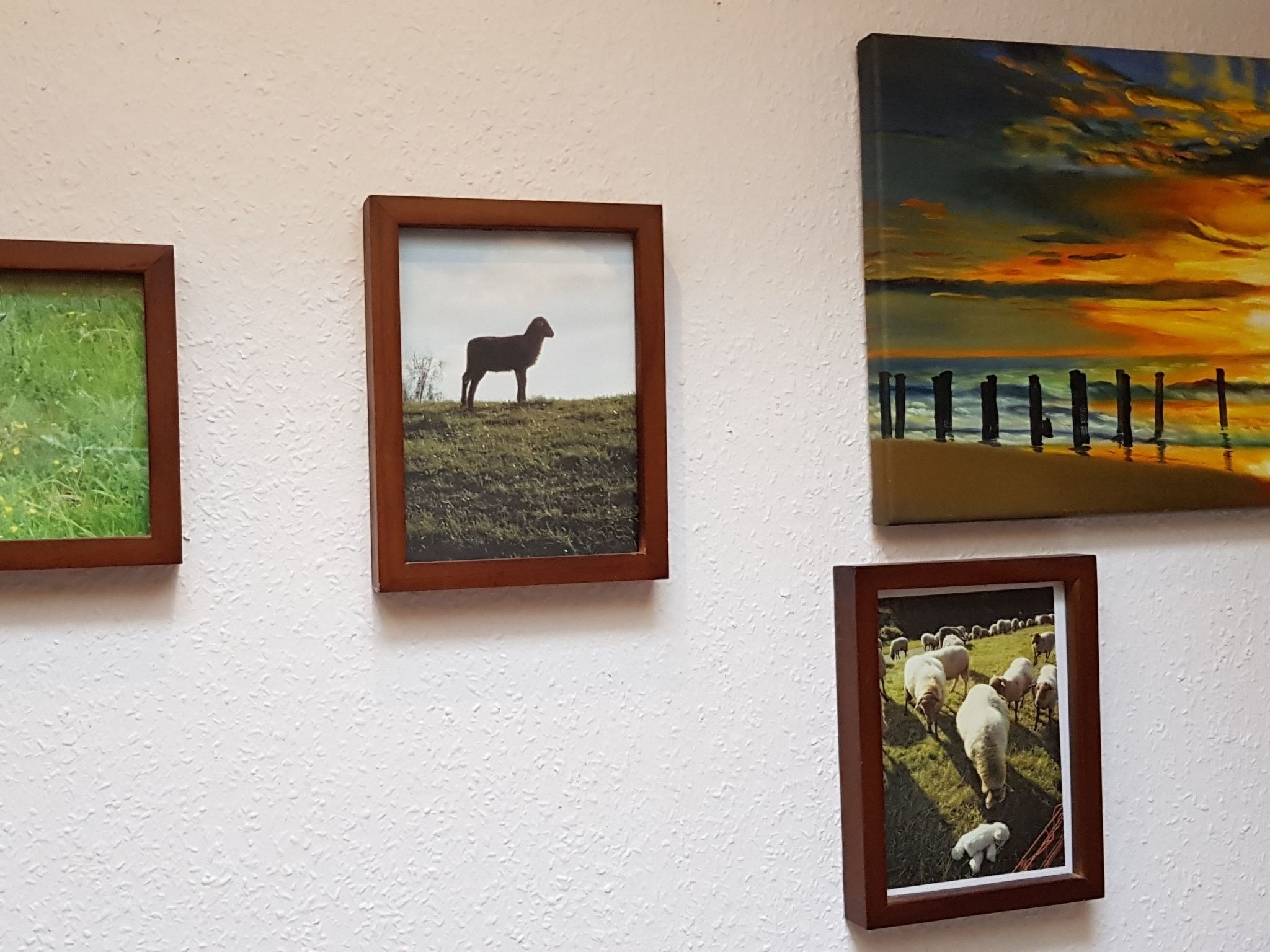 Lüneburger Süd-Image-tags.info