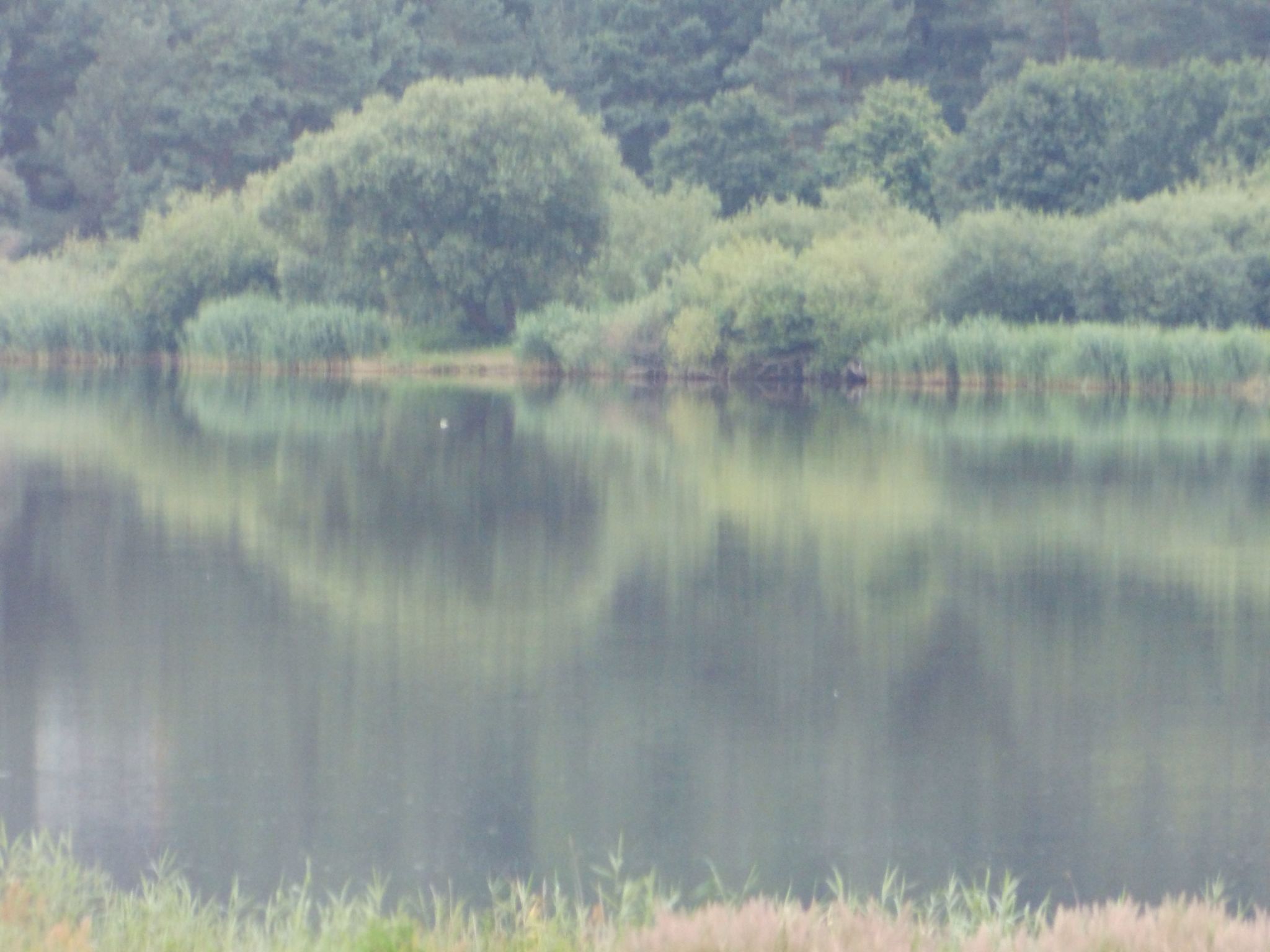 Elbufer 4B-Image-tags.info