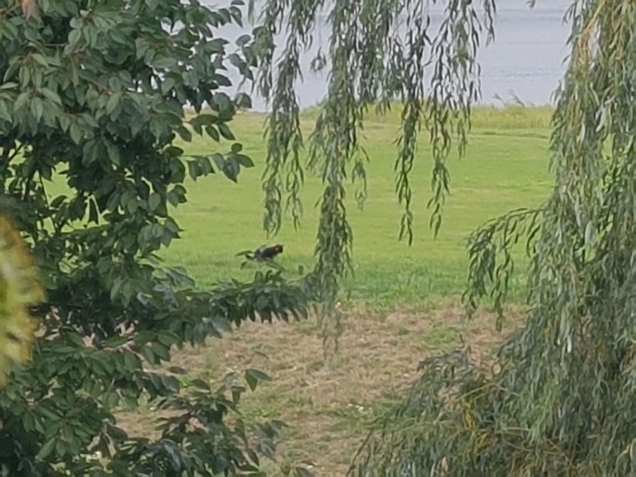 Elbufer 4B-Image-tags.info