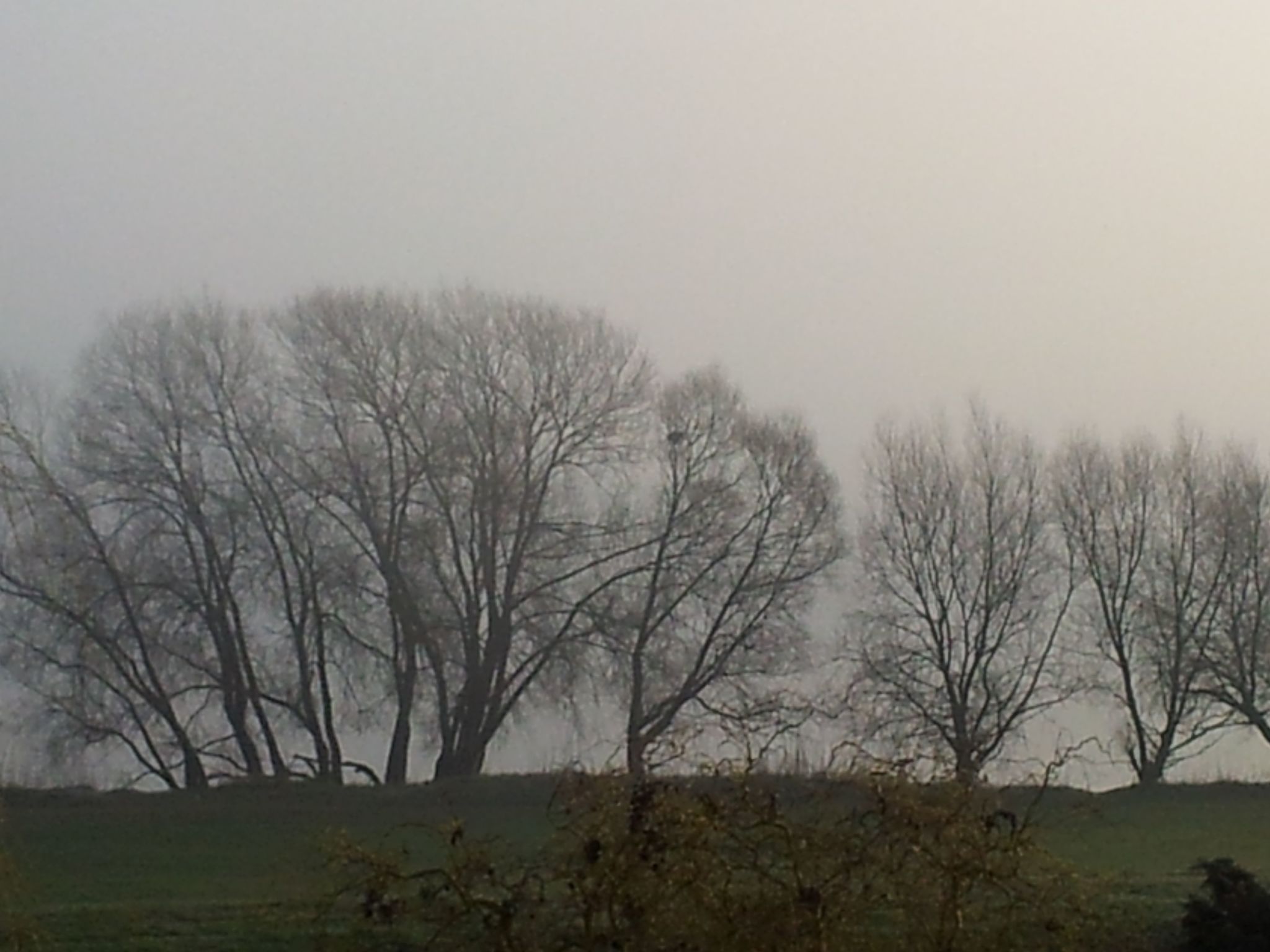 Elbufer-Image-tags.info