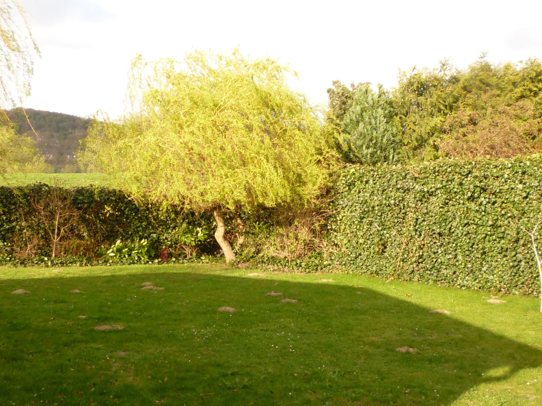 Elbufer-Image-tags.info