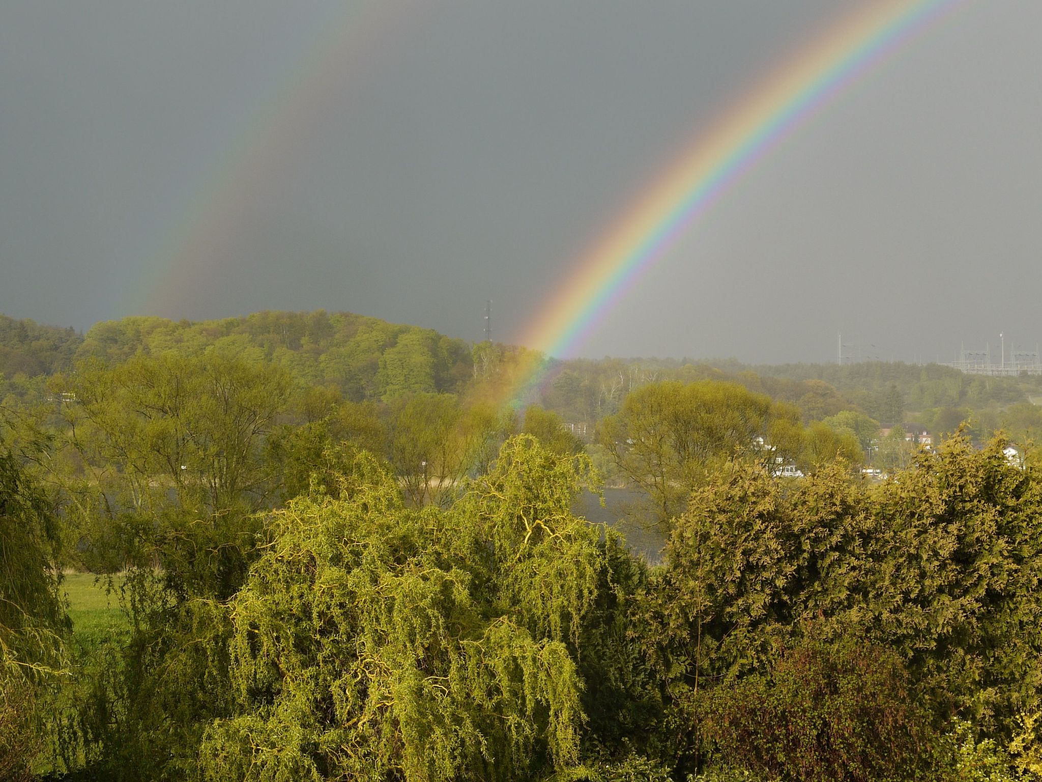 Elbufer-Image-tags.info