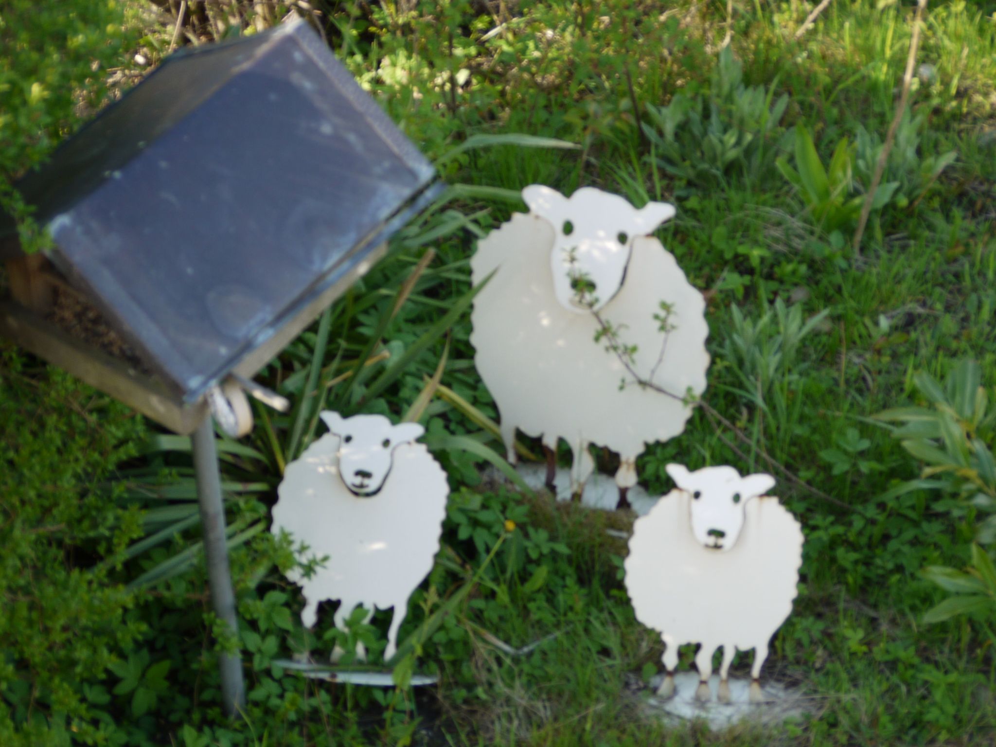 Elbufer-Image-tags.info