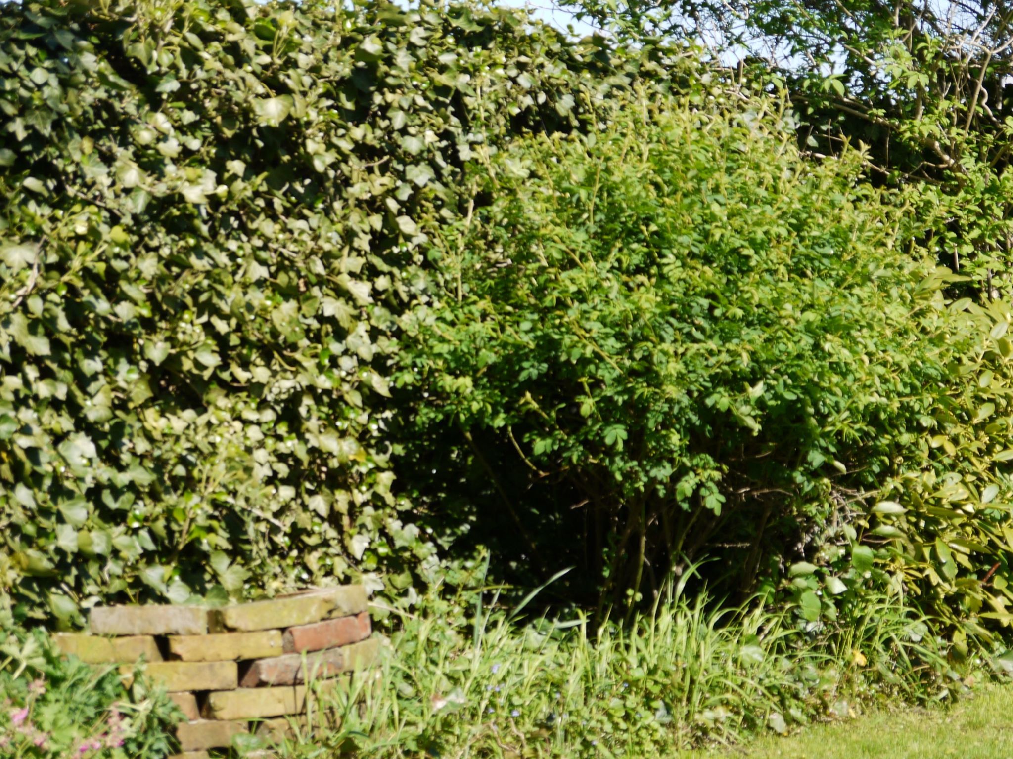 Elbufer-Image-tags.info