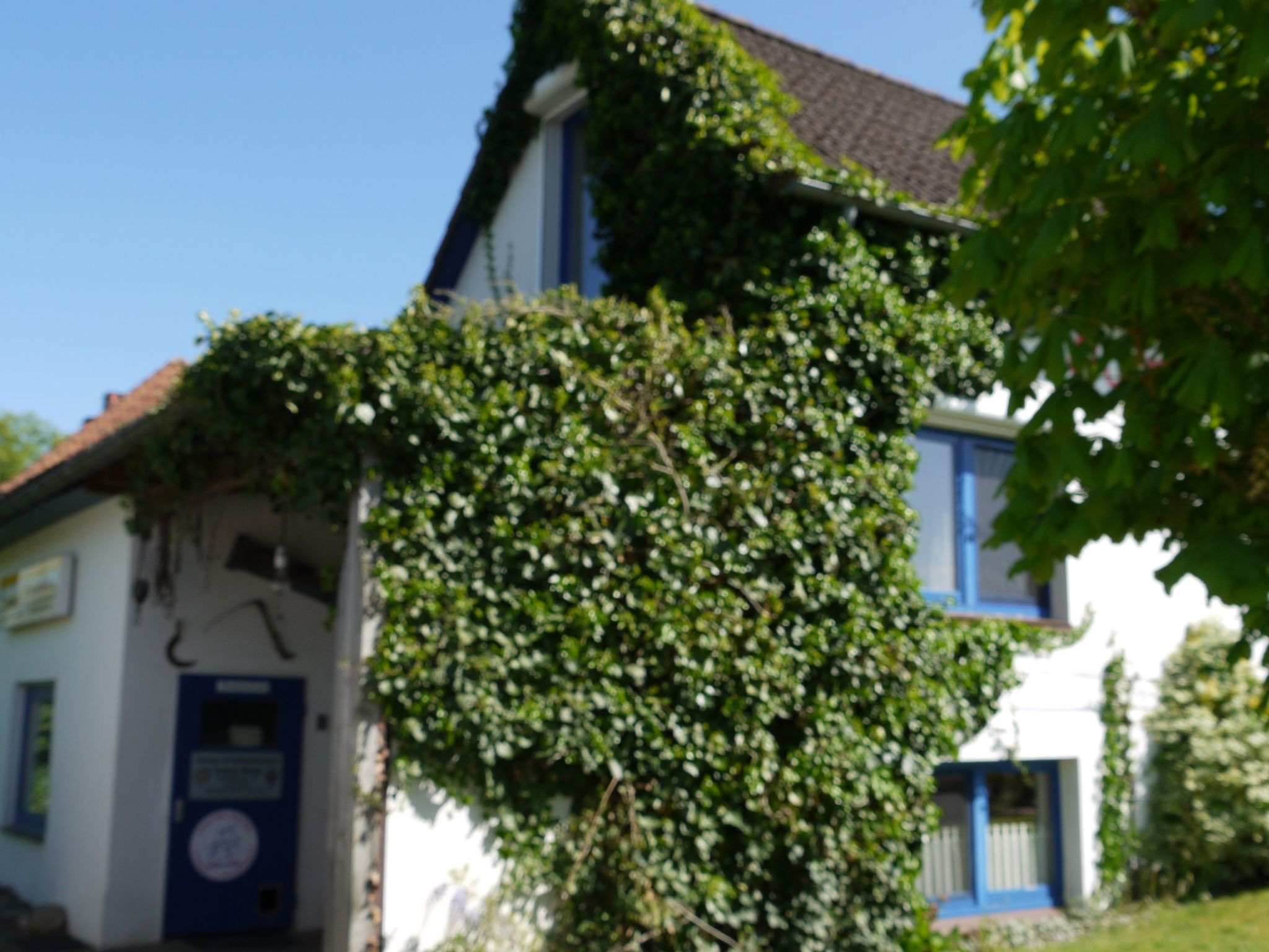 Elbufer-Image-tags.info