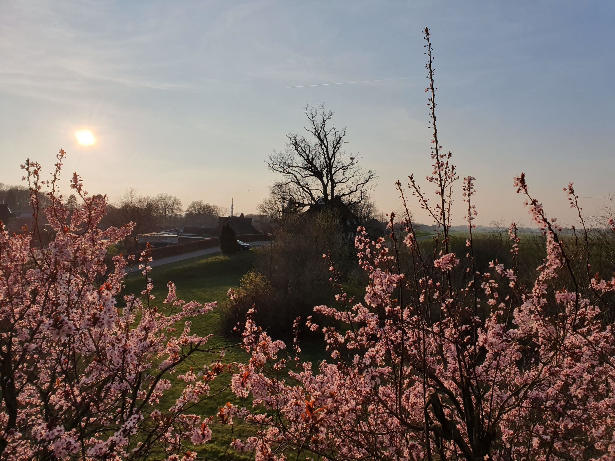 Elbufer-Image-tags.info