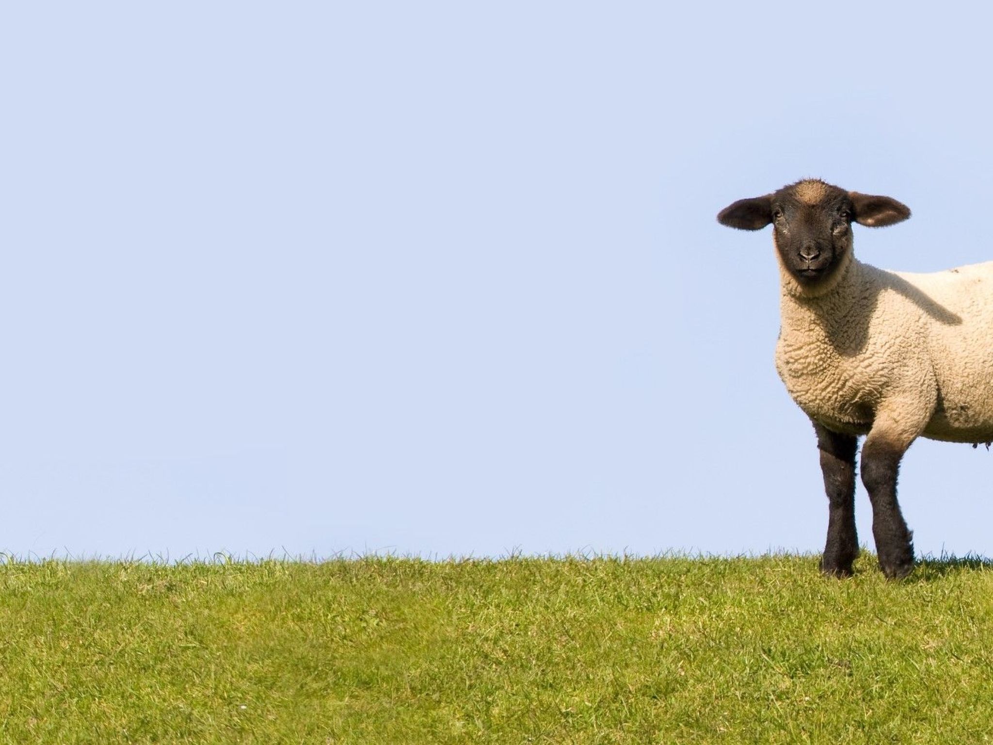 Kontor-Image-tags.info