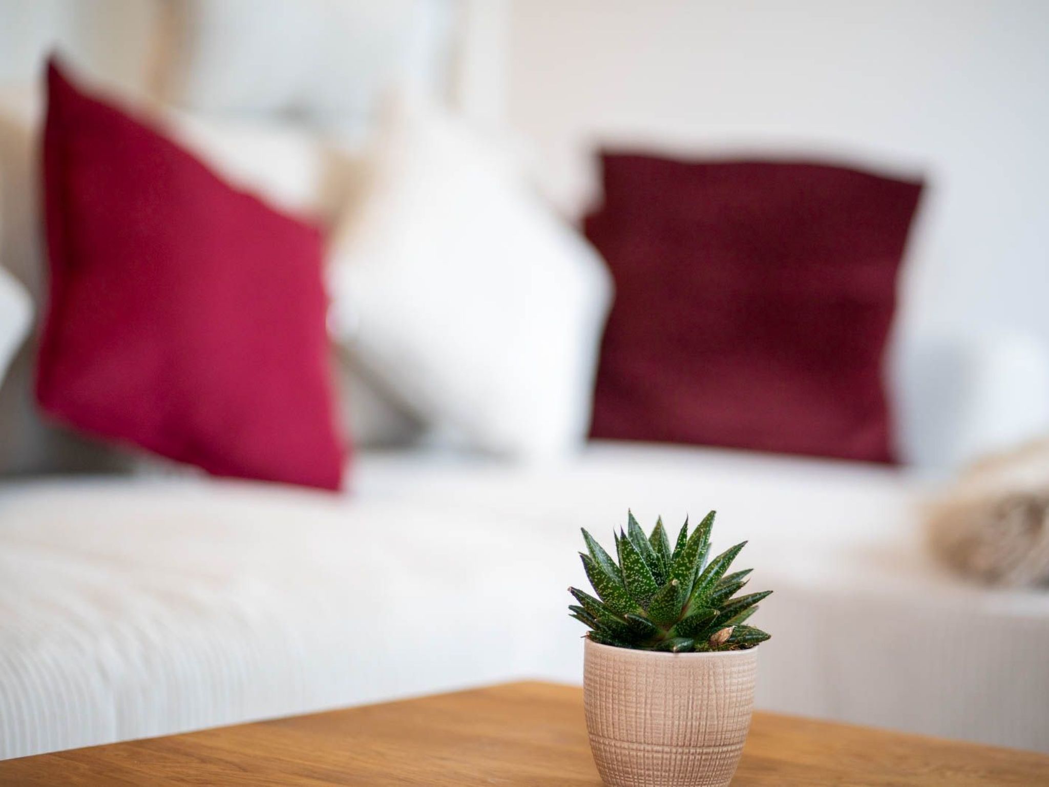 Schule Altes Land-Image-tags.info