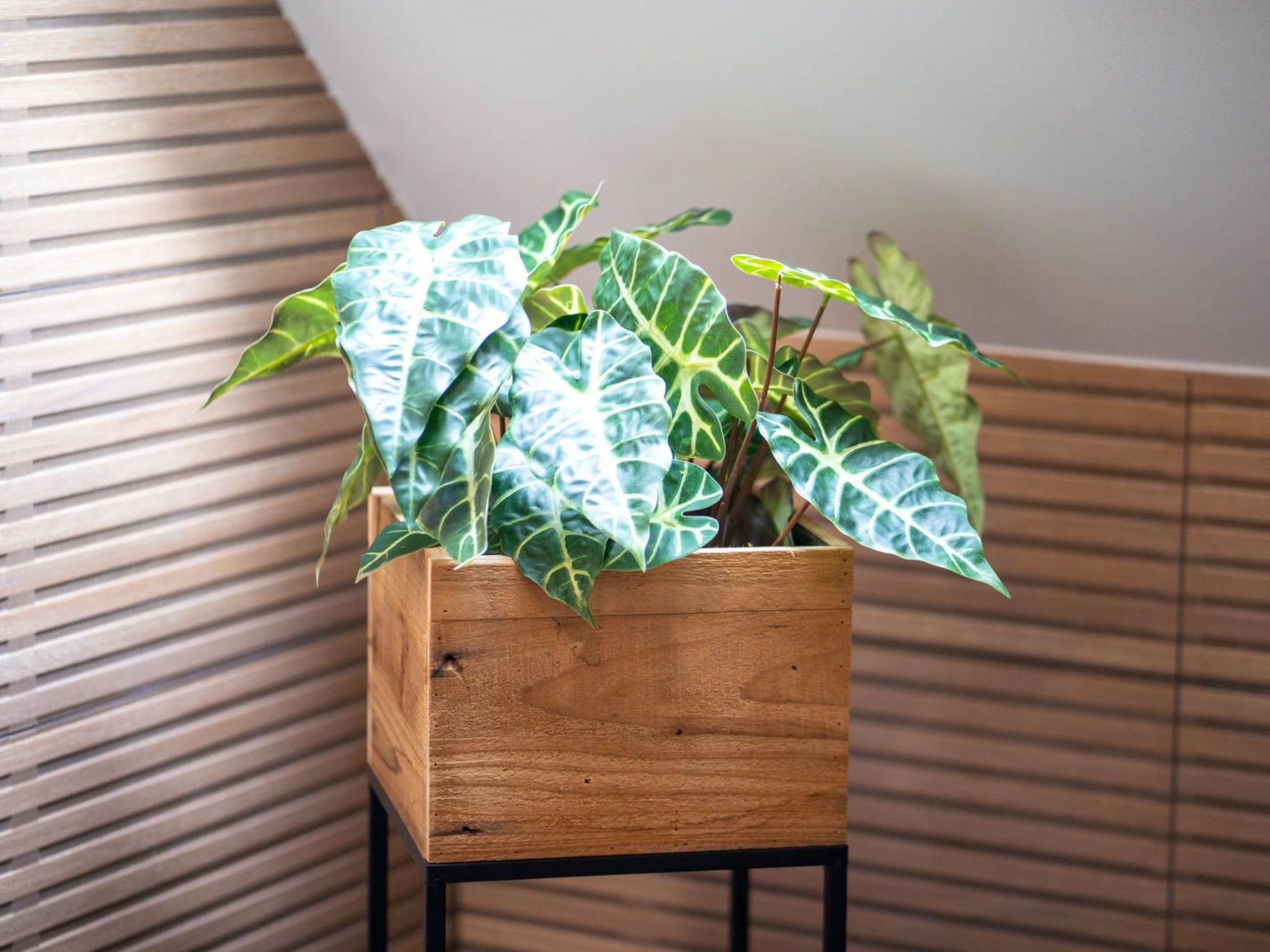 Schule Altes Land-Image-tags.info