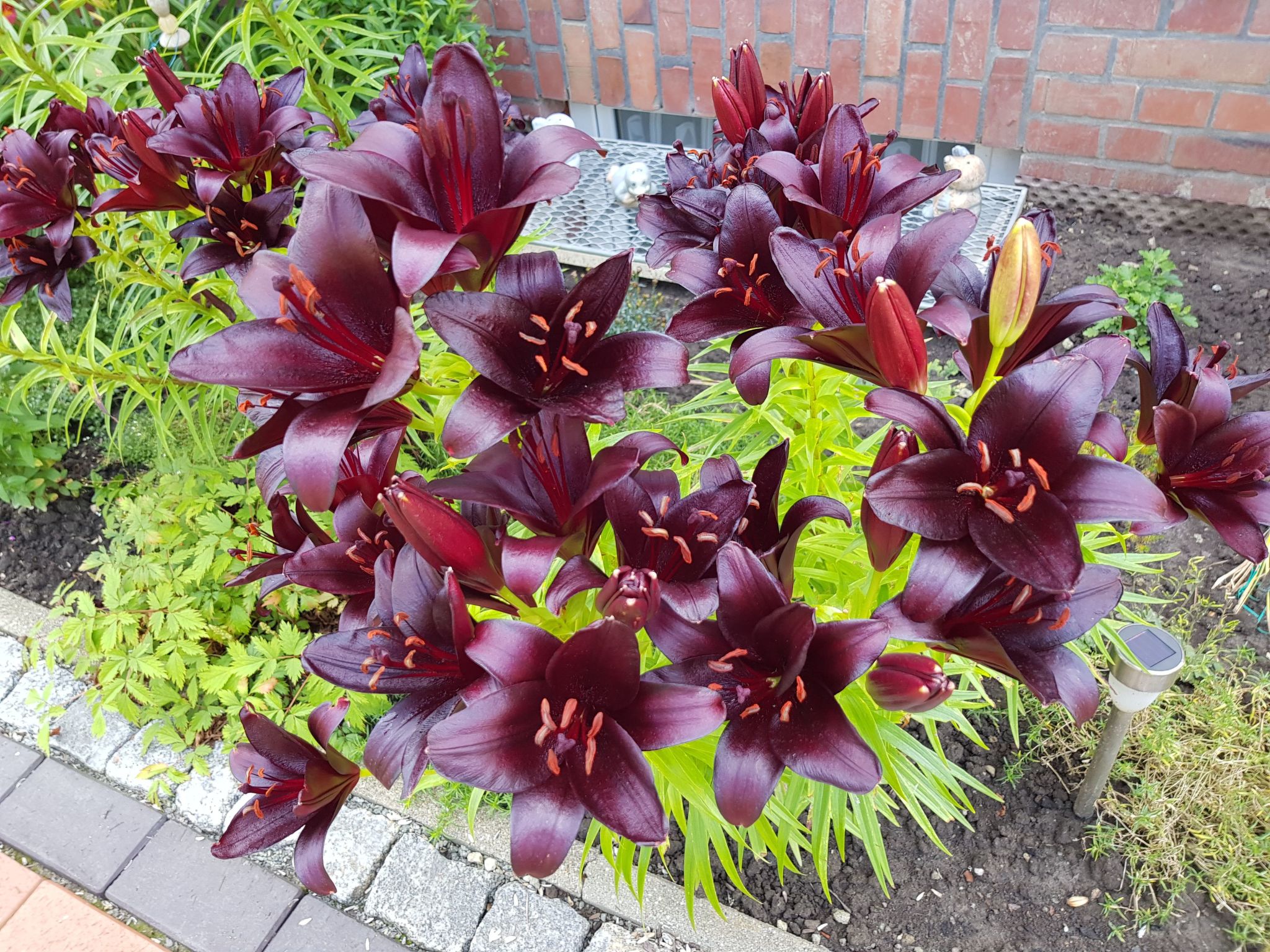 Beim Bracksee-Binnen