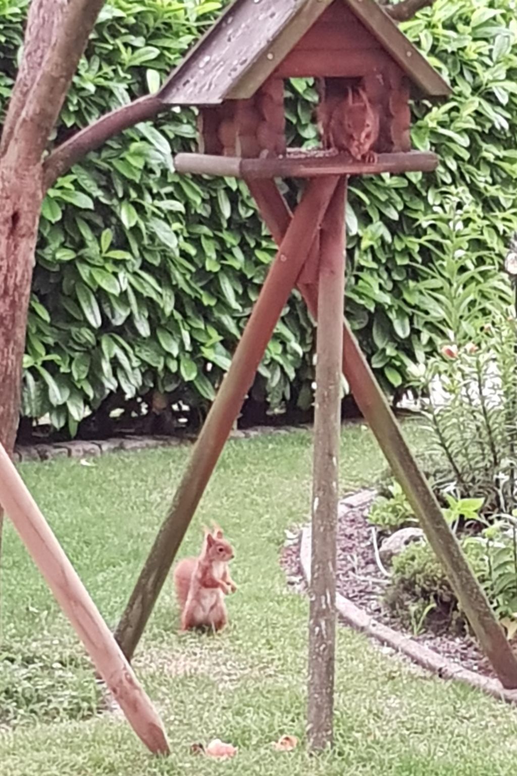 Beim Bracksee-Binnen