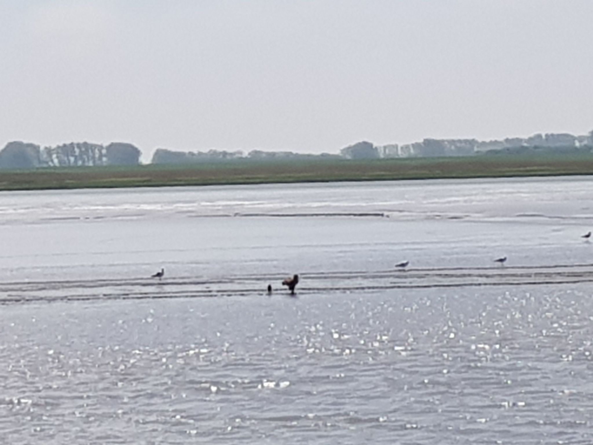 Beim Bracksee-Binnen