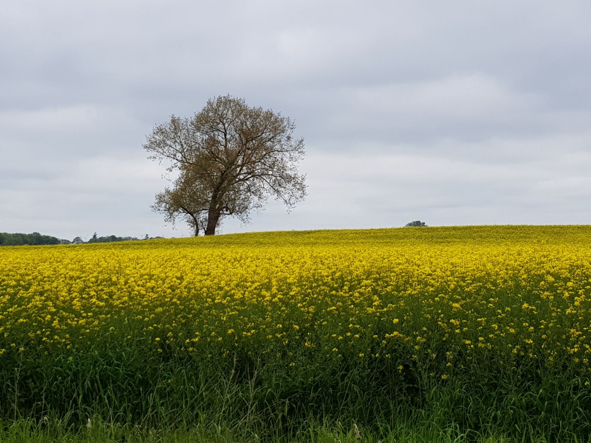 Beim Bracksee-Binnen