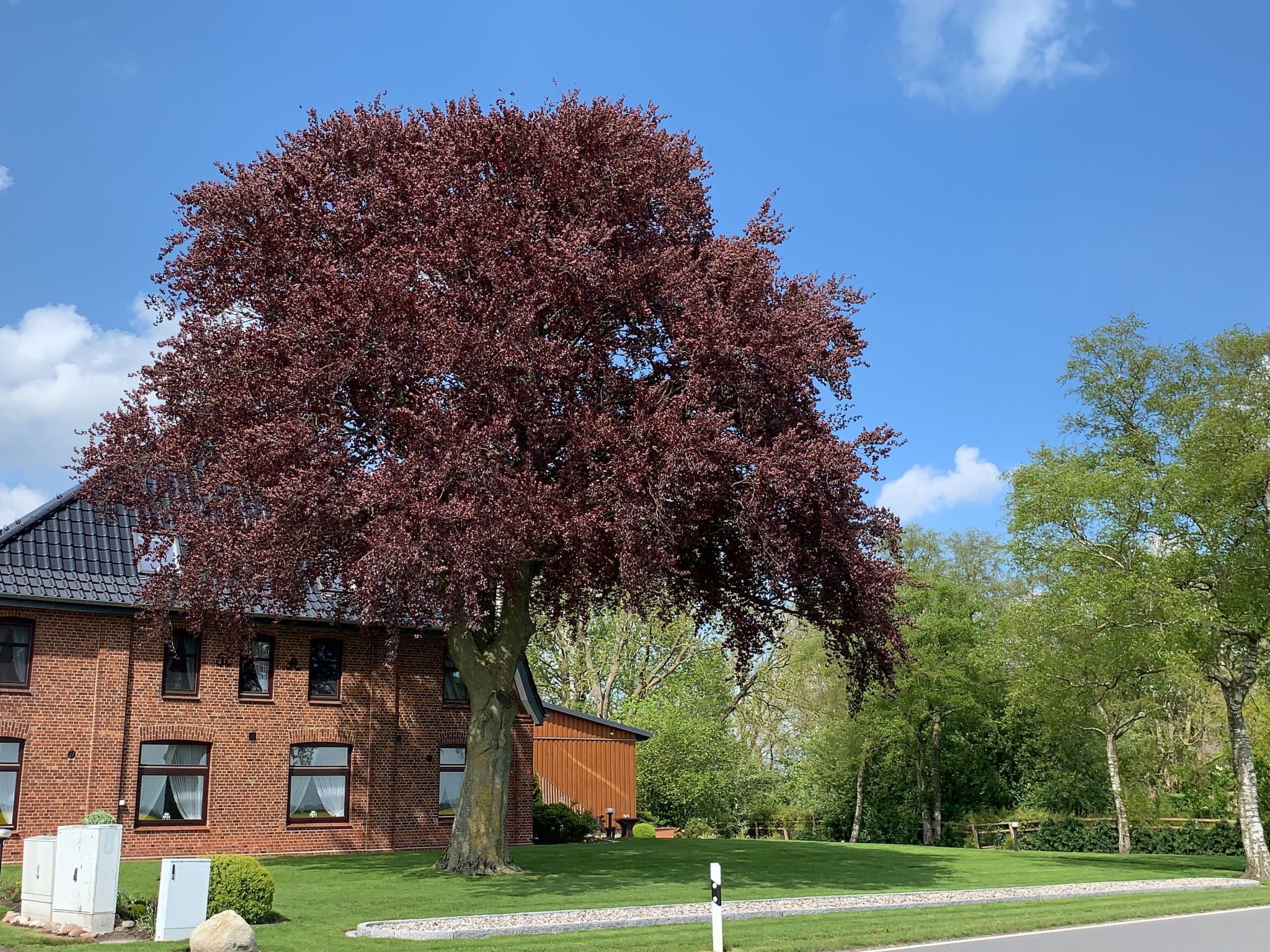 Studio Appartement Gartenblick-Binnen