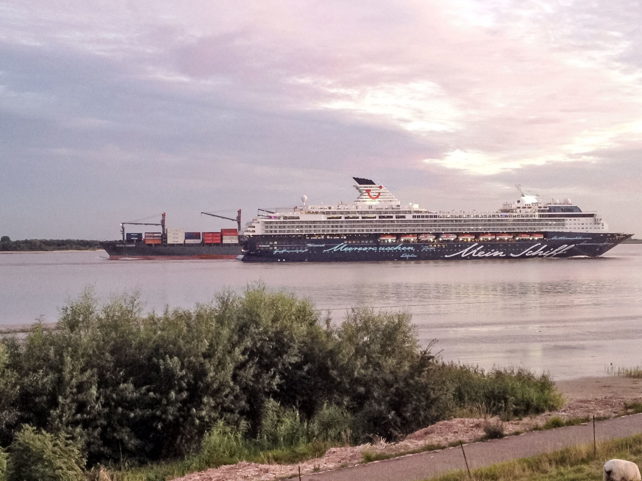 Elbe-Ferienwohnung mit Terrasse nah am Zentrum
