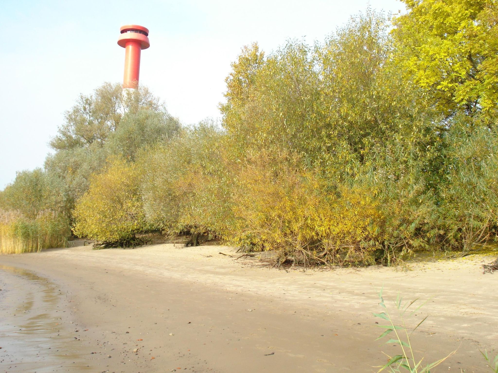 Elbe-Ferienwohnung mit Terrasse nah am Zentrum-Binnen