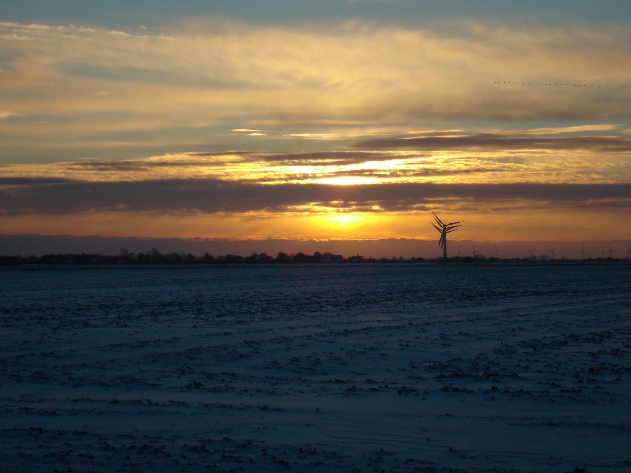 Elbe-Ferienwohnung mit Terrasse nah am Zentrum-Binnen