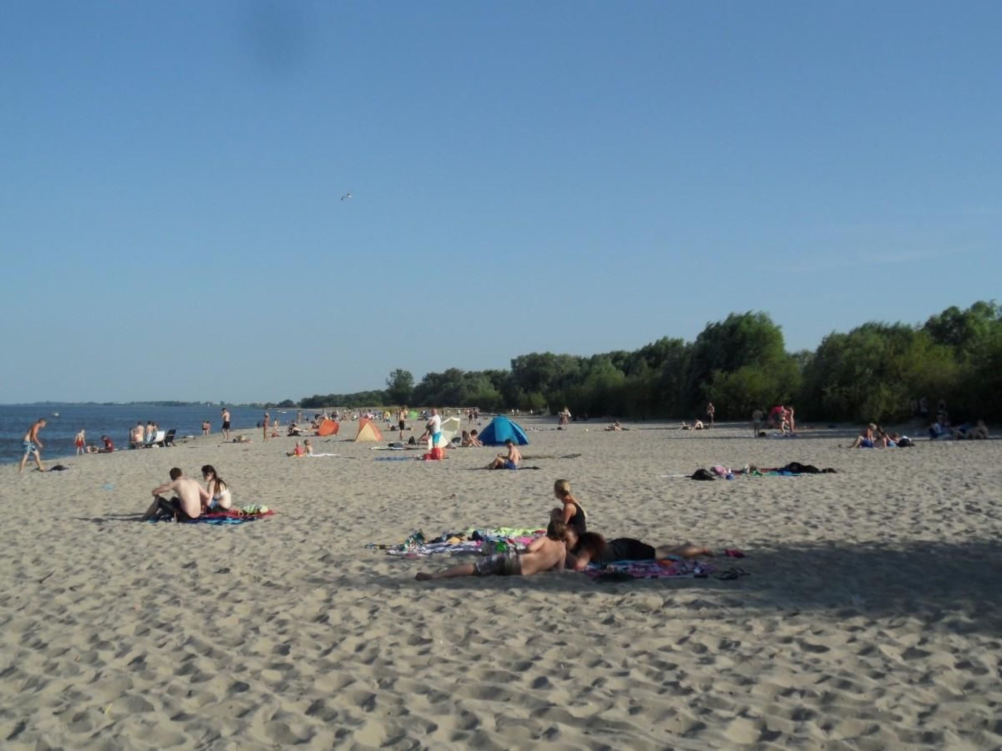 1849240-Image-tags.info