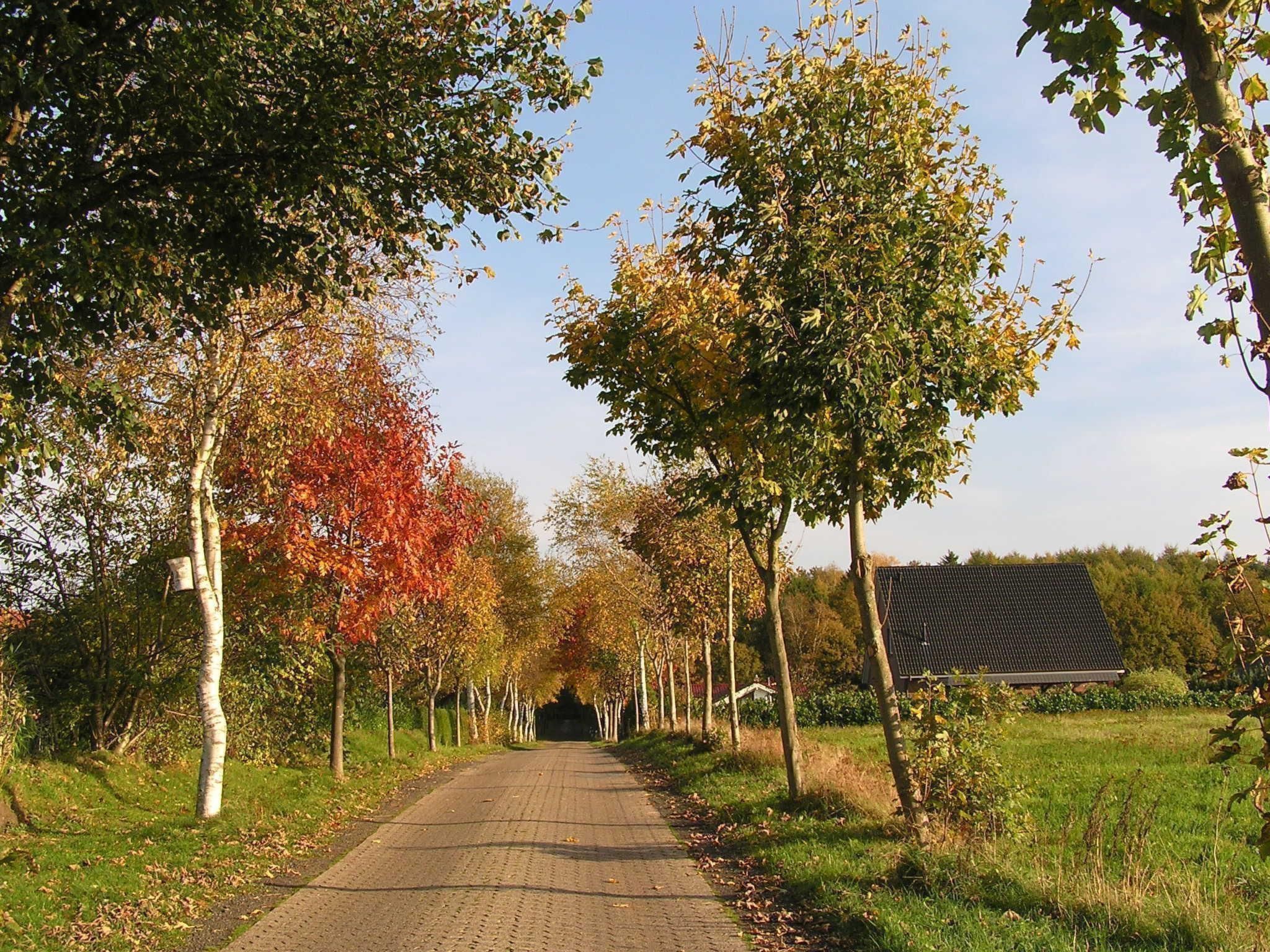 Bungalow Hechthausen-Binnen