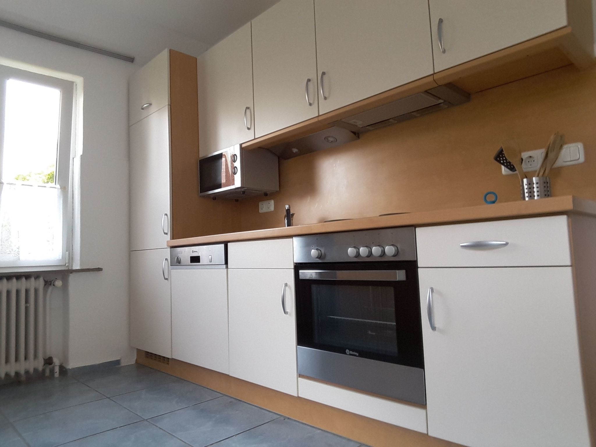 Erholung pur: Nordsee-Urlaub mit Hund-Binnen